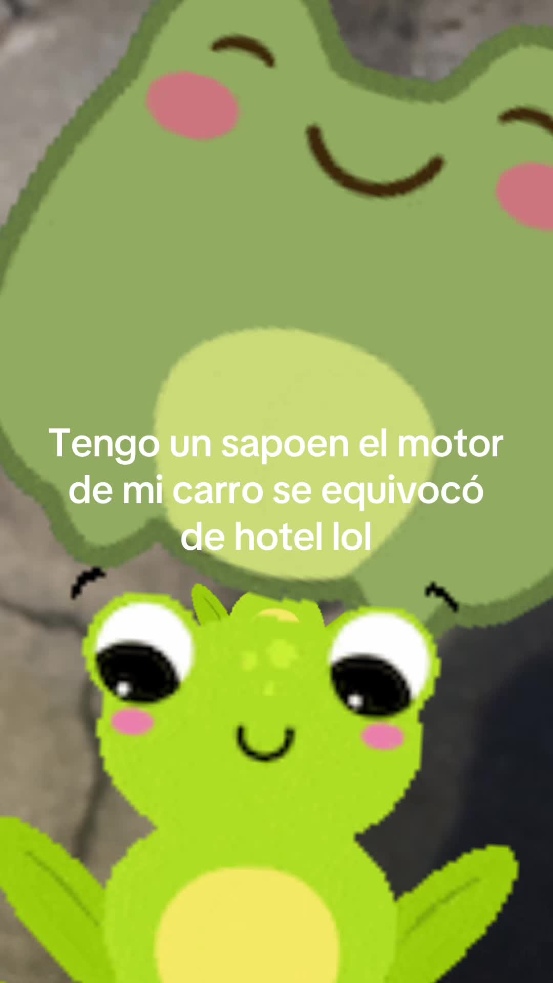 @Paula carreno 🐞🐞🐞