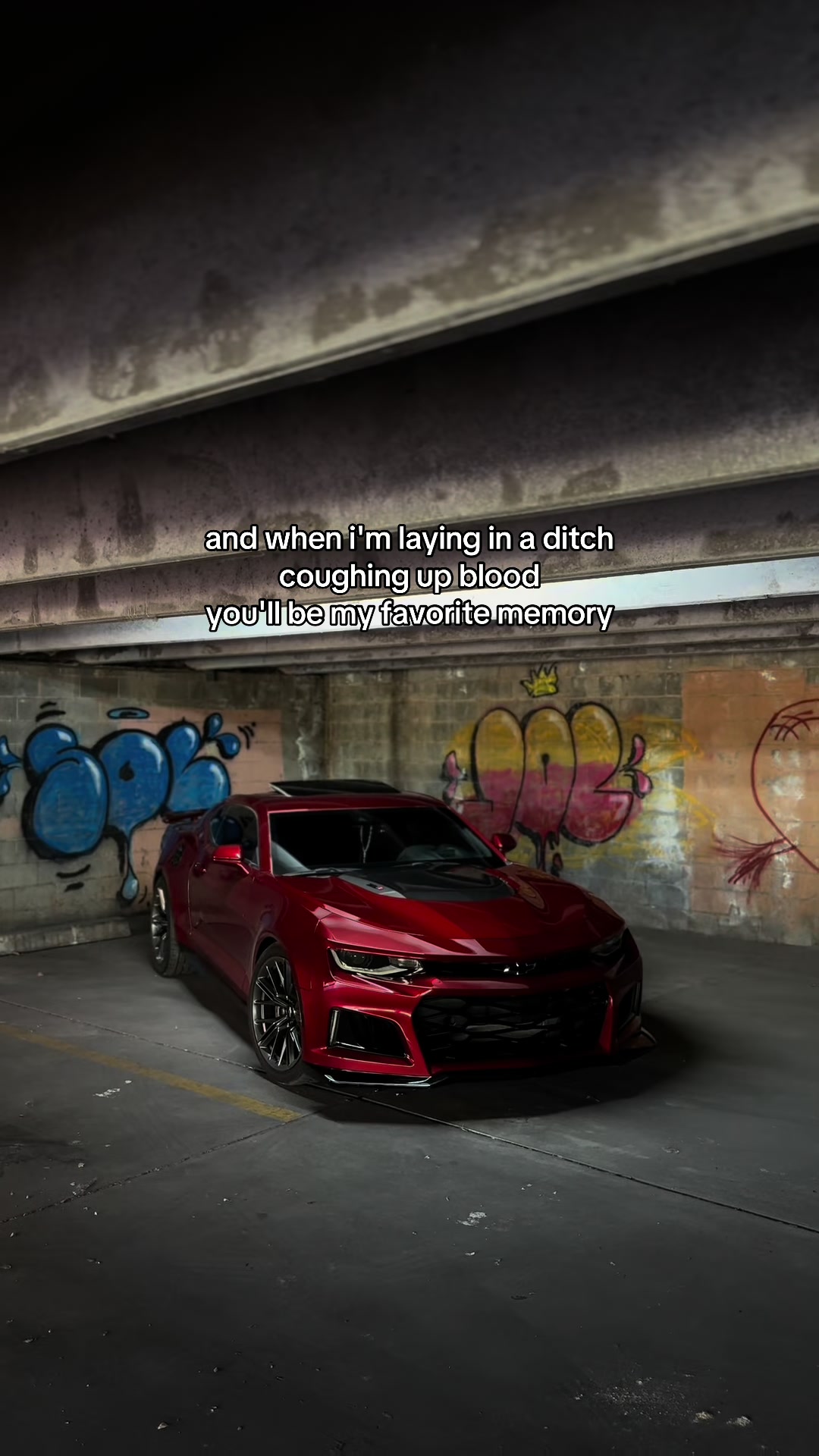 @reza.zl1