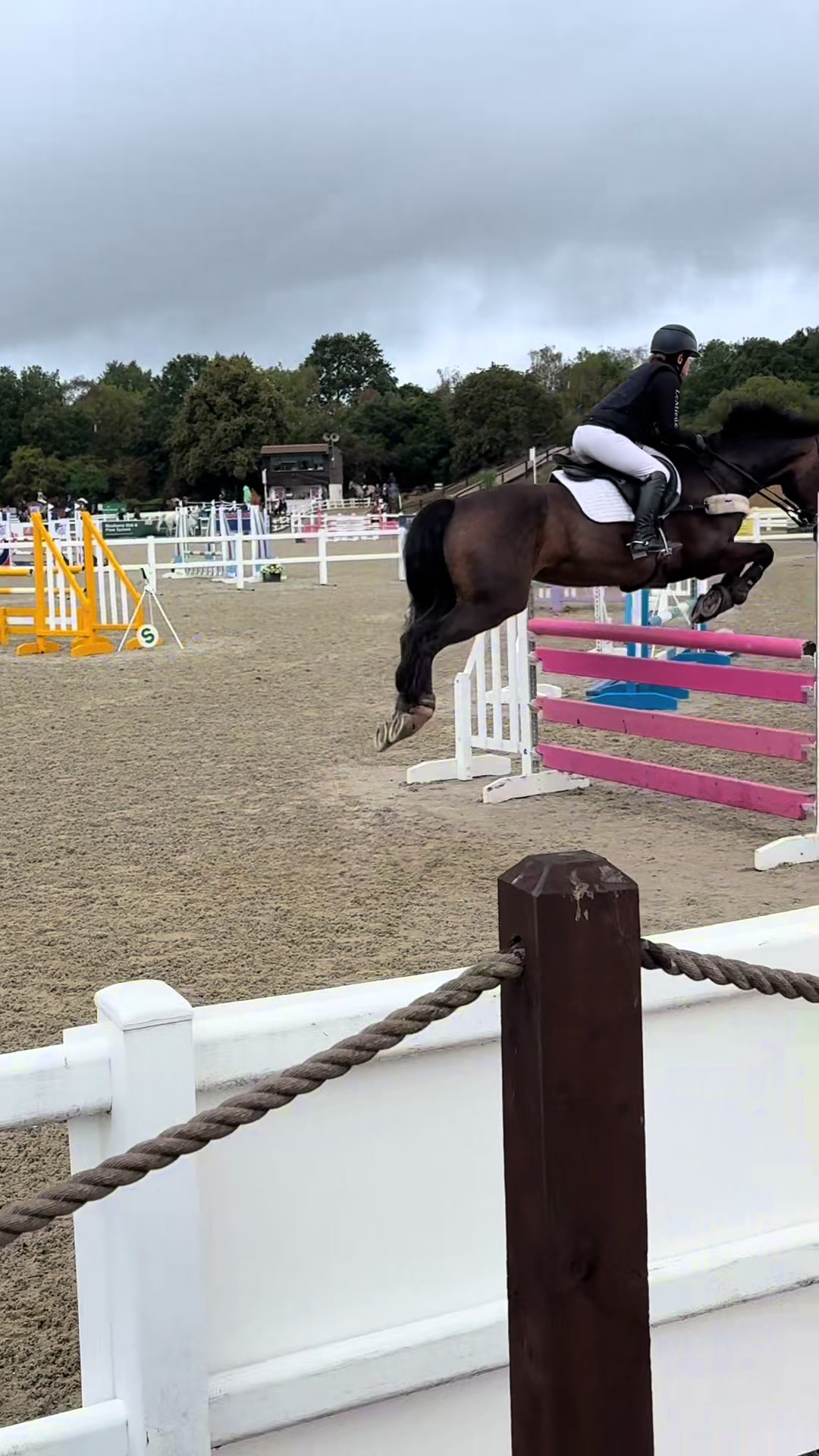 @cedequestrian