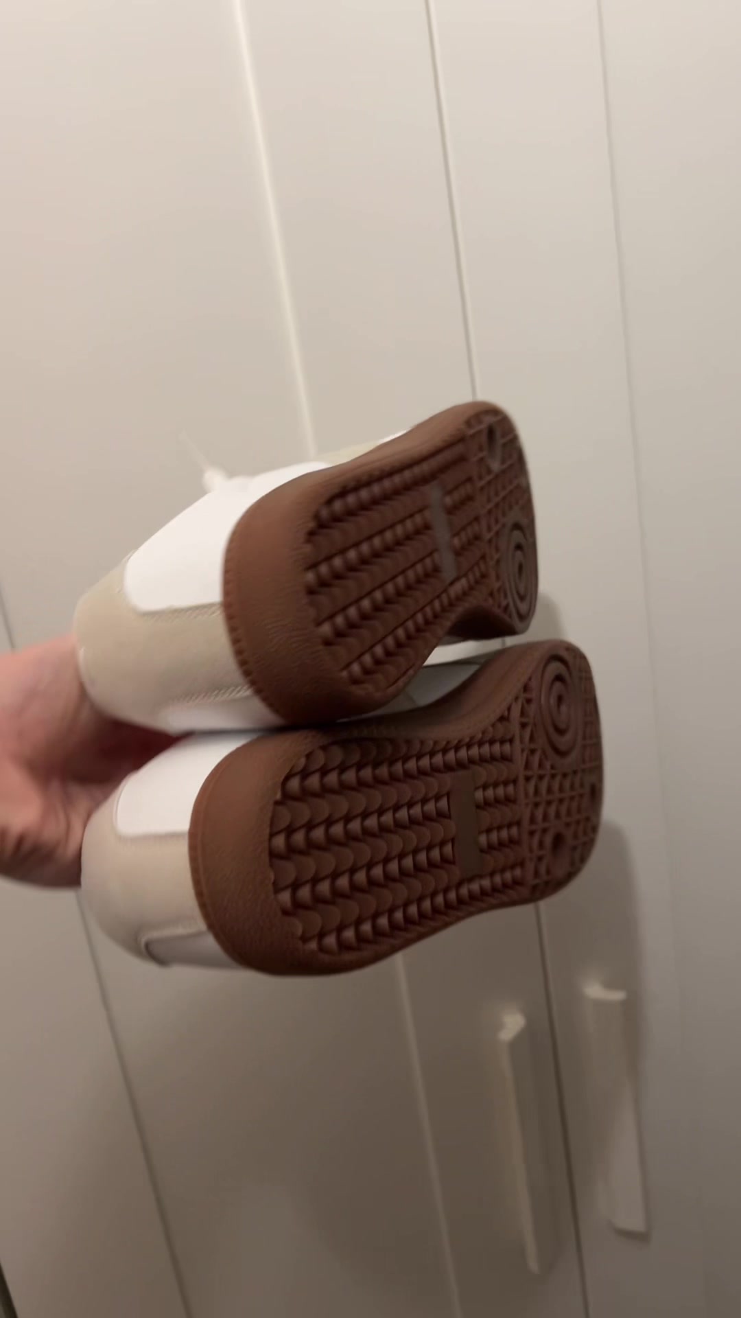 @haz_mp4