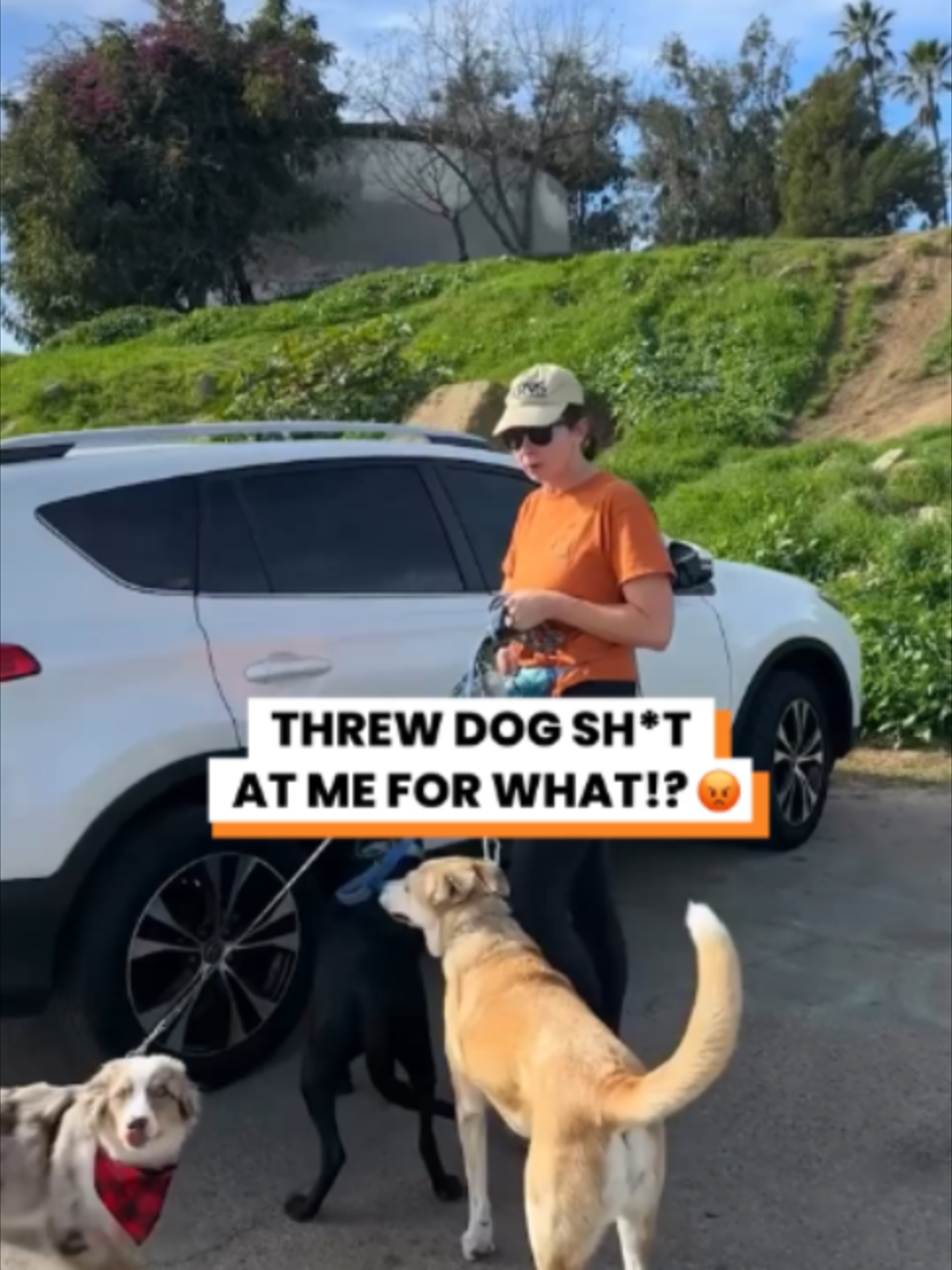 @Go Fetch