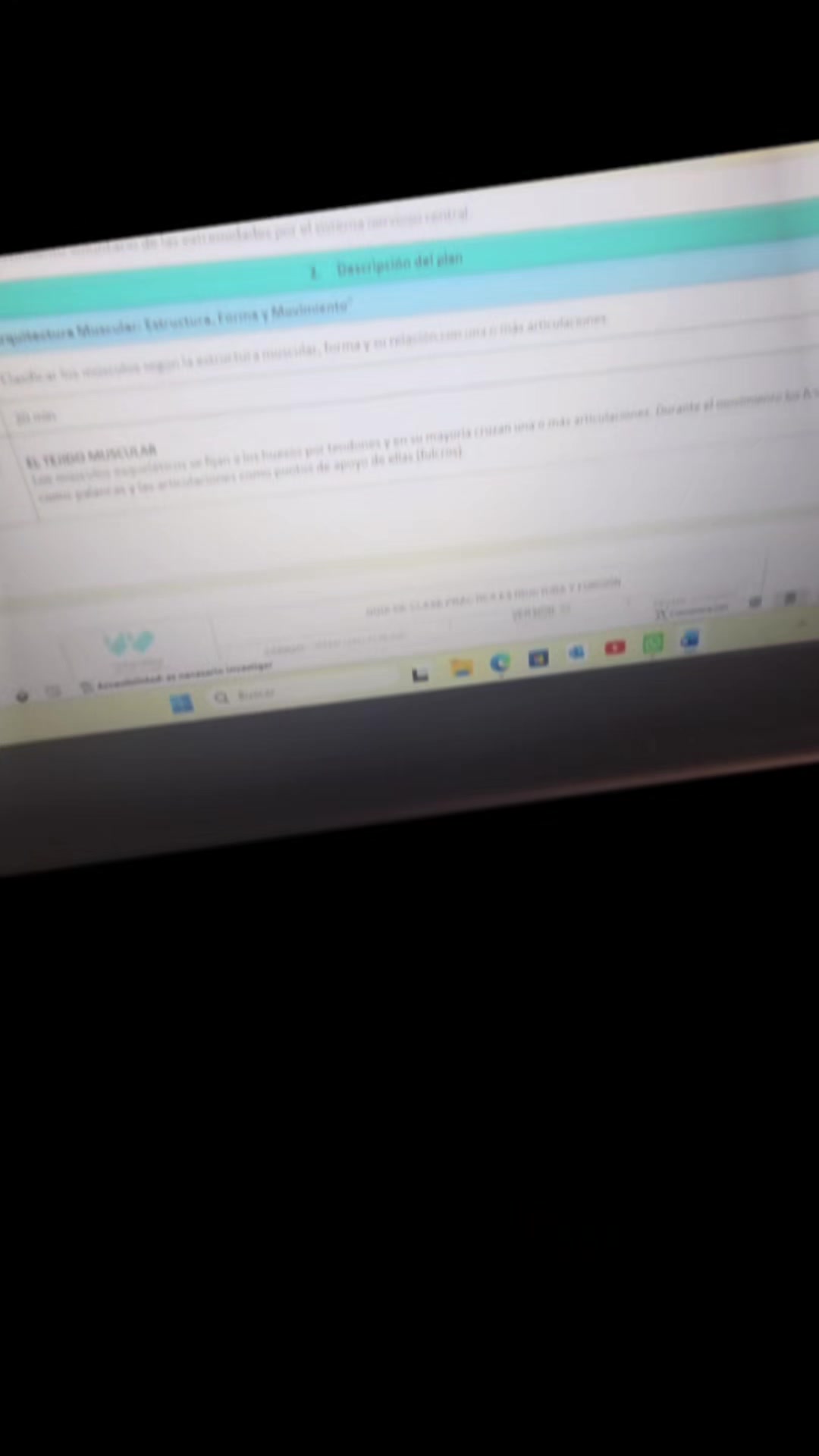 @๐ ๐ฅ๐๐๐๐๐ป๐๐ ๐ ๐๐ฉต๐ฉท