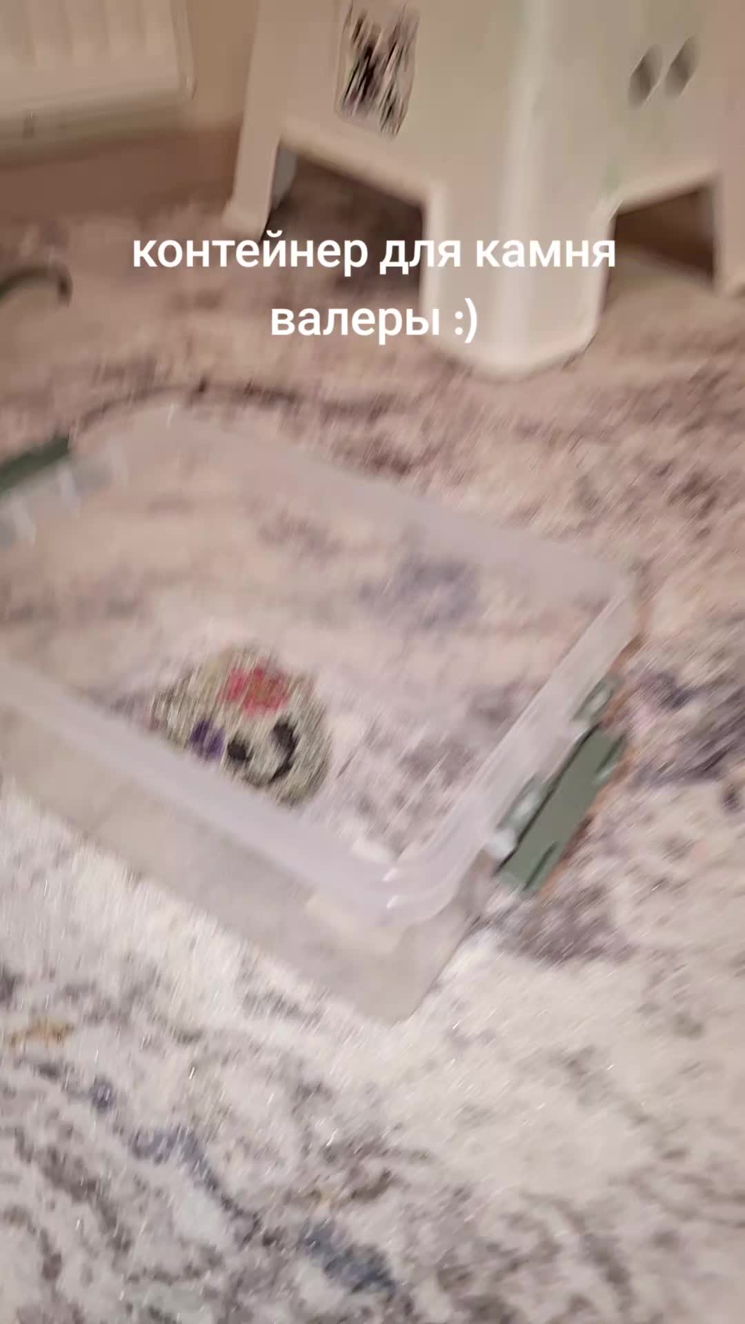 @хомяк | гыф гыф