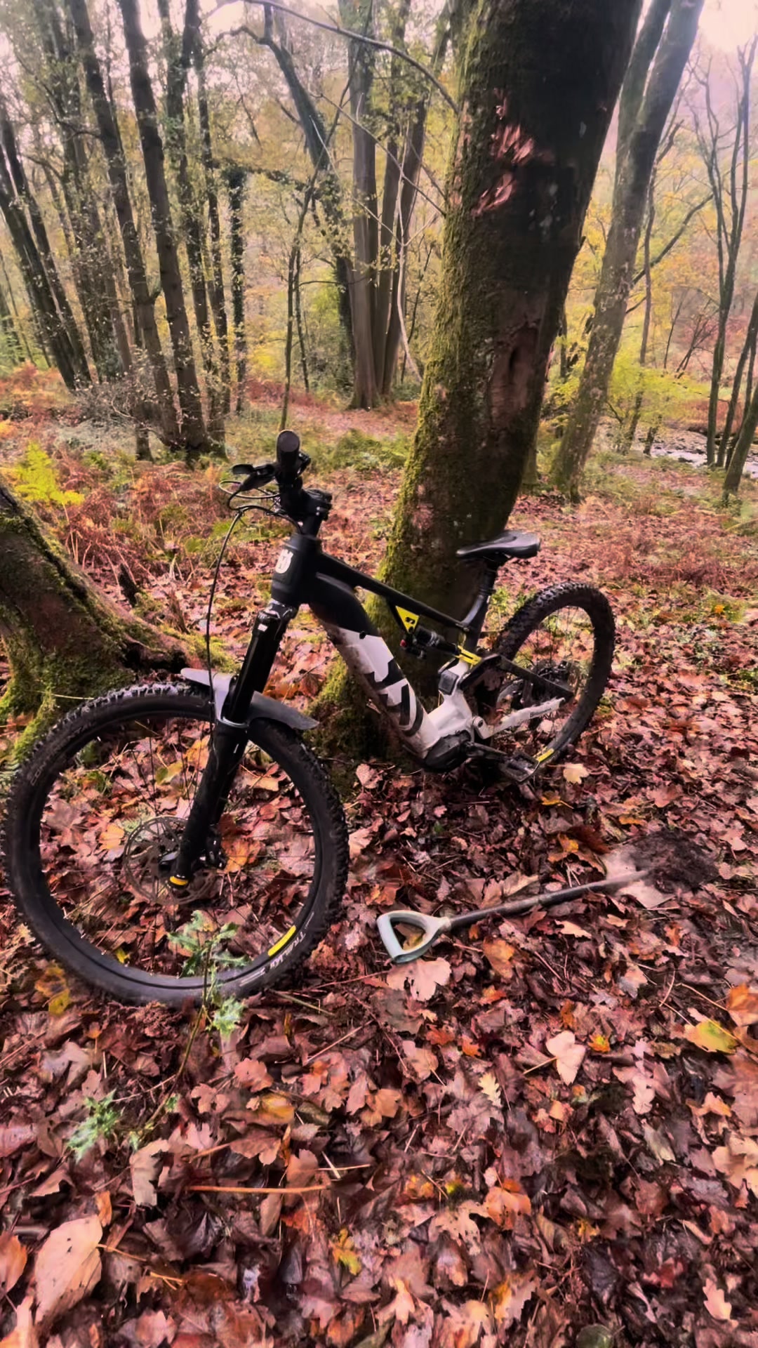 @Max🏂🚵♂️