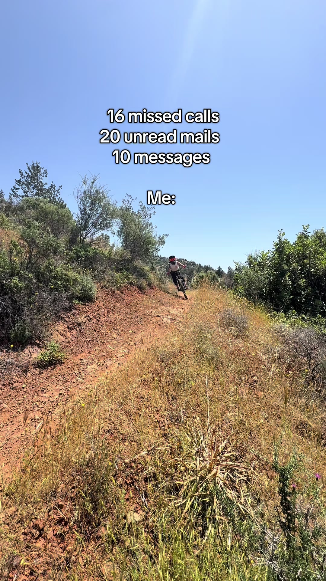 @Staywild