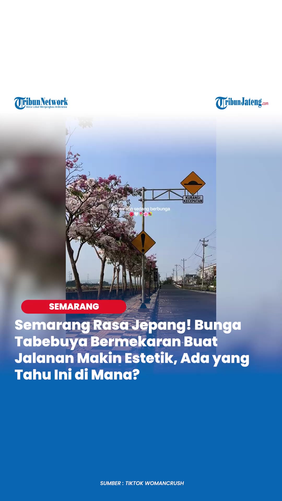 @Tribun Jateng
