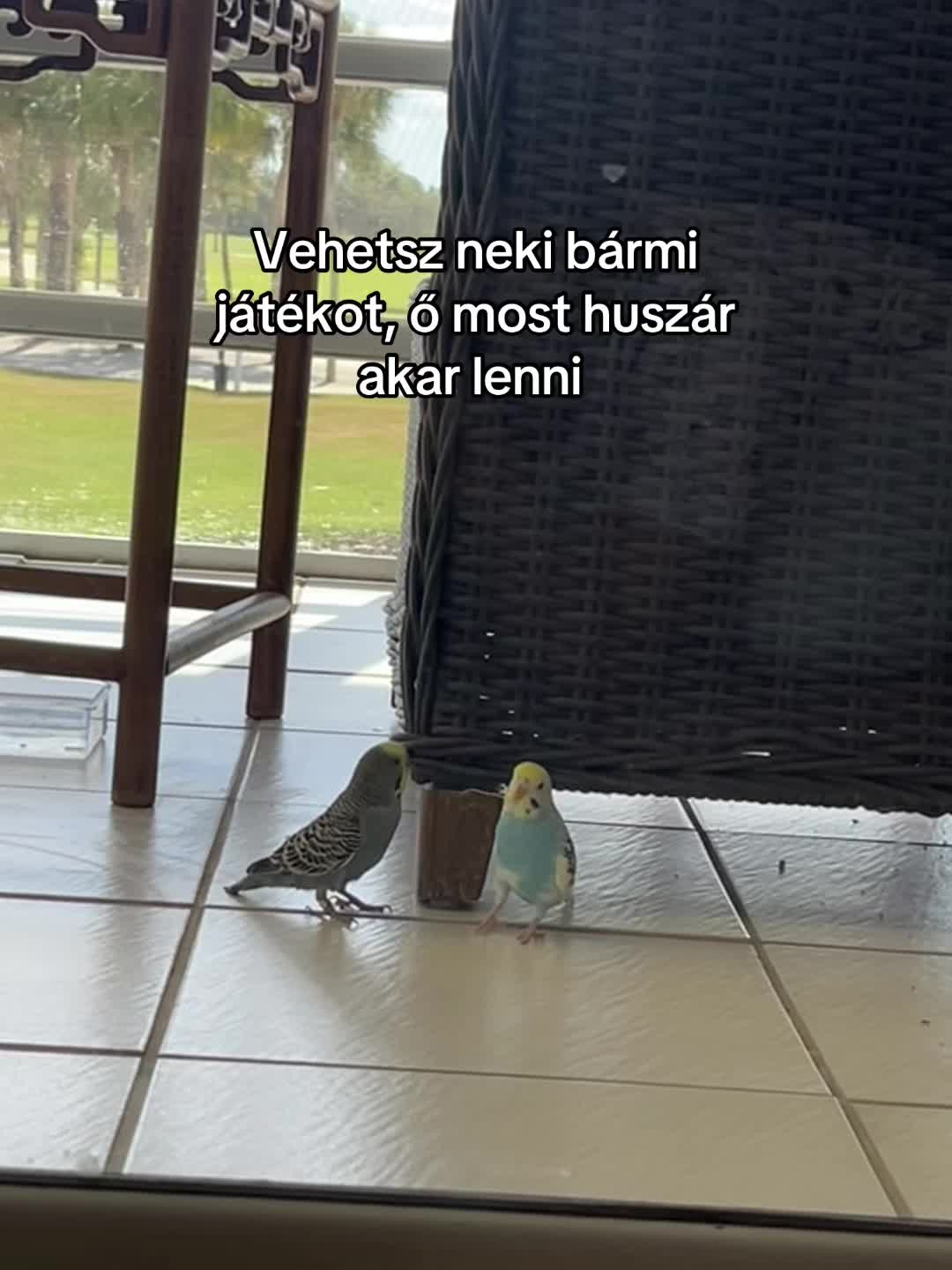 @sziszike2001