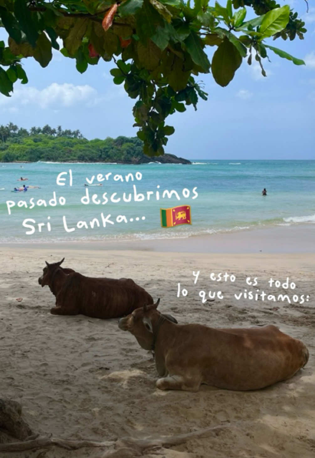@volteretarestaurante