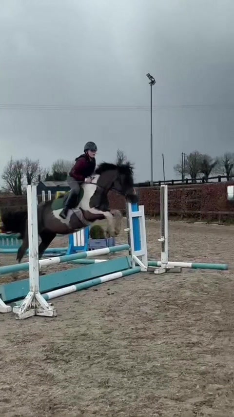@Saoirse🪽🐎