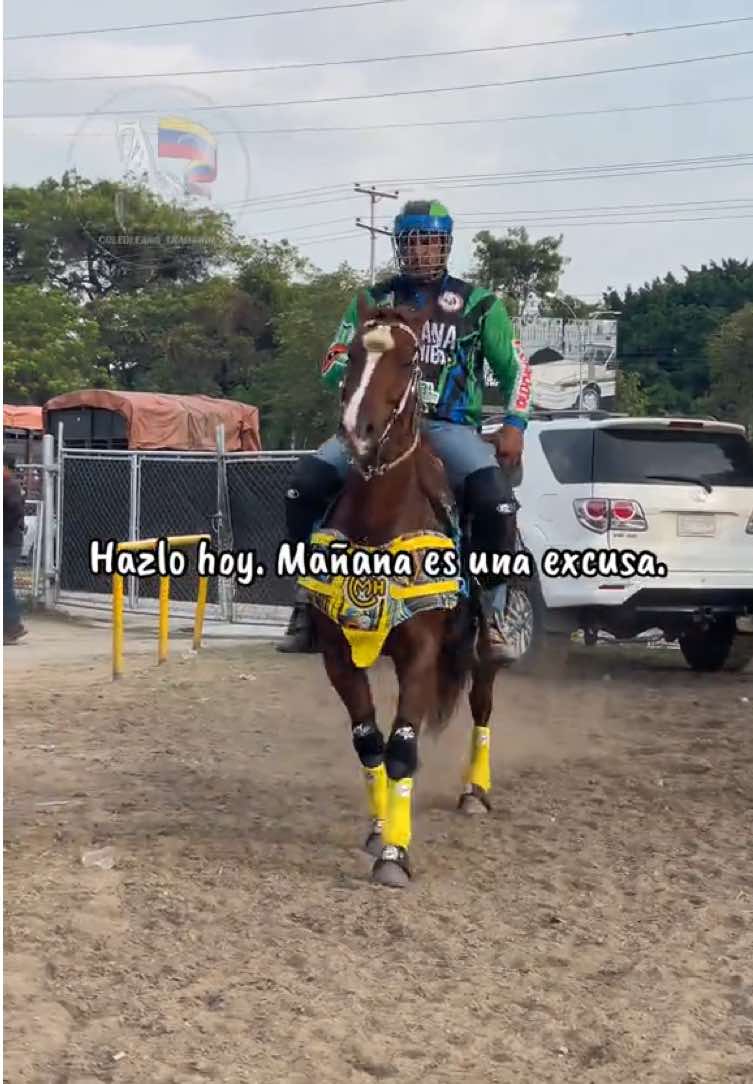 @@Coleollano_tradicion
