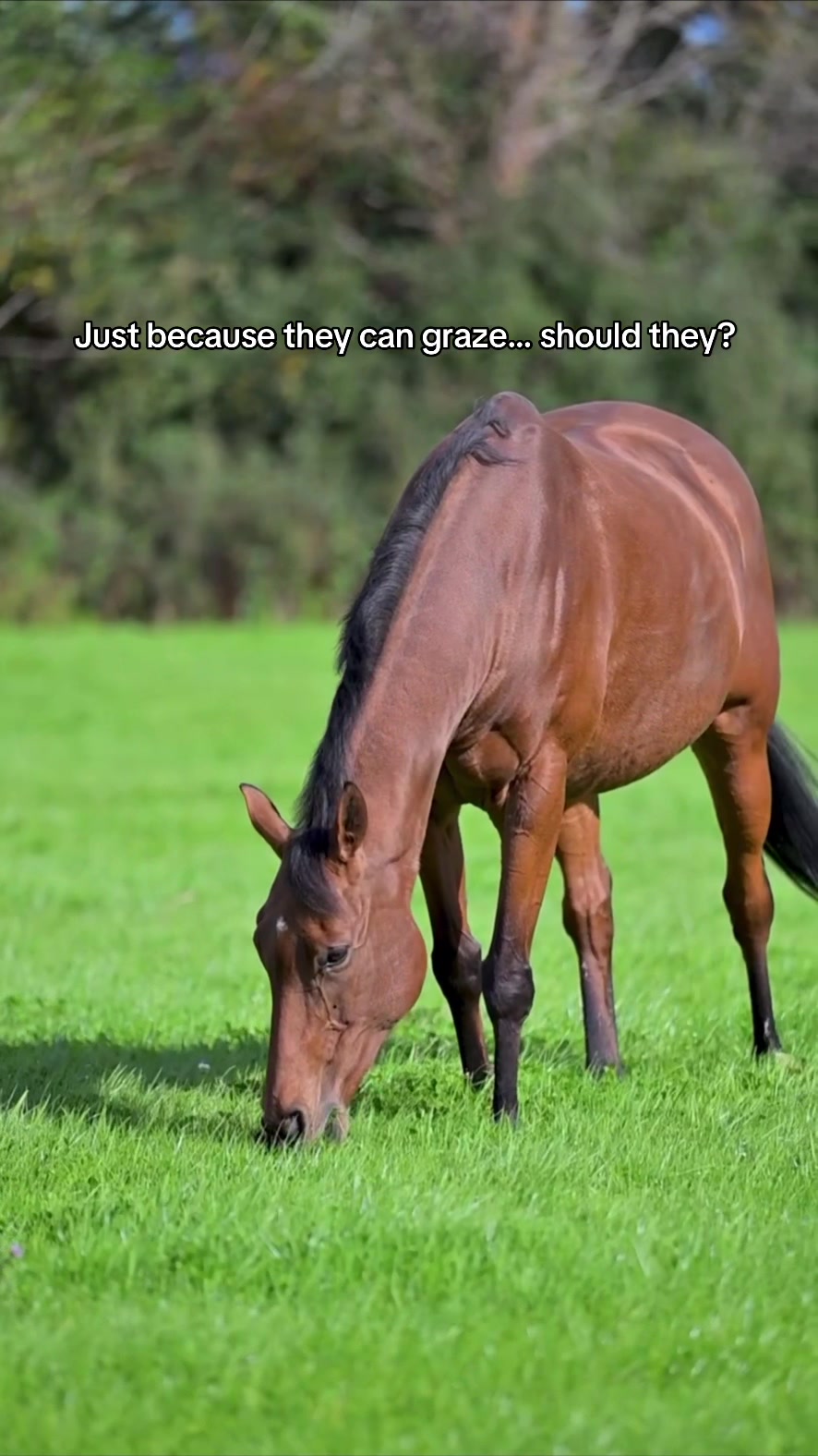 @Protexin Equine