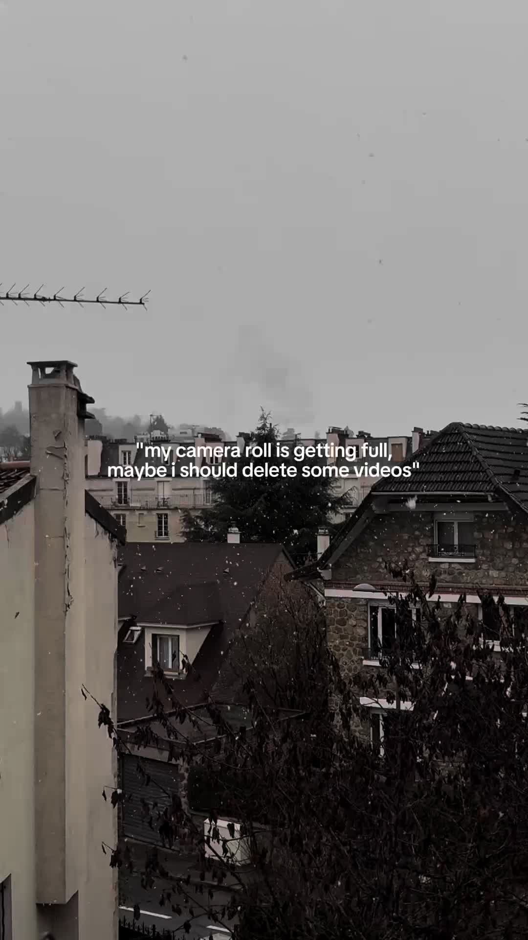 @abi