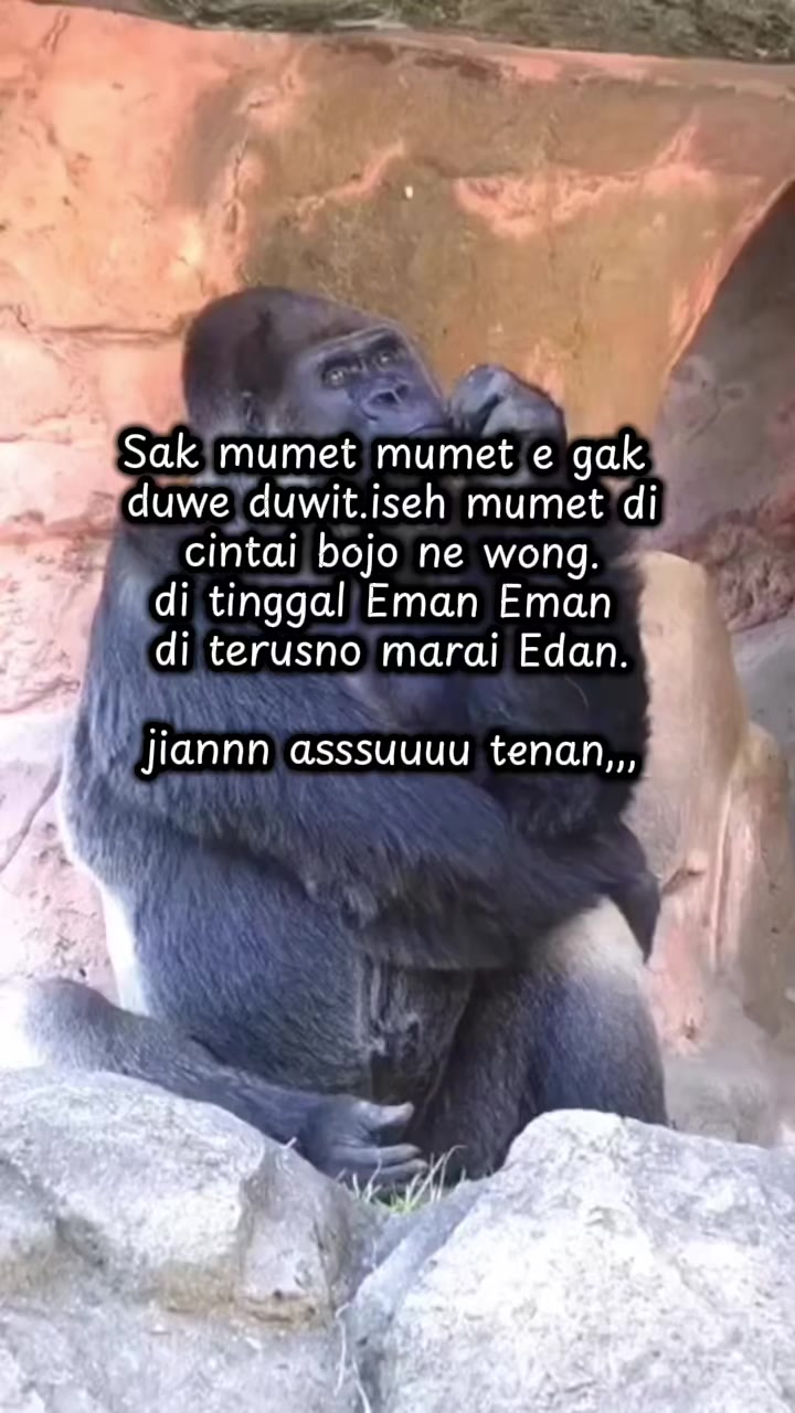 @Tumyny Mbyankoxs