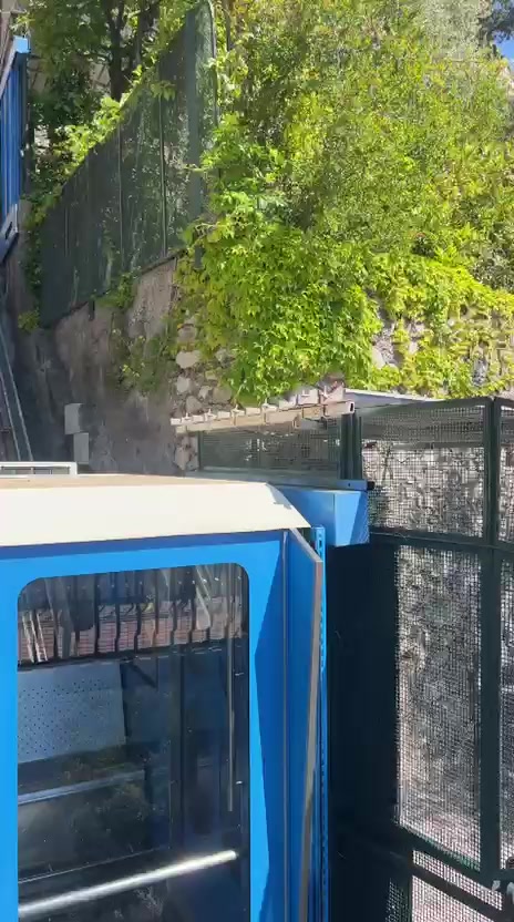 @leagavipositano