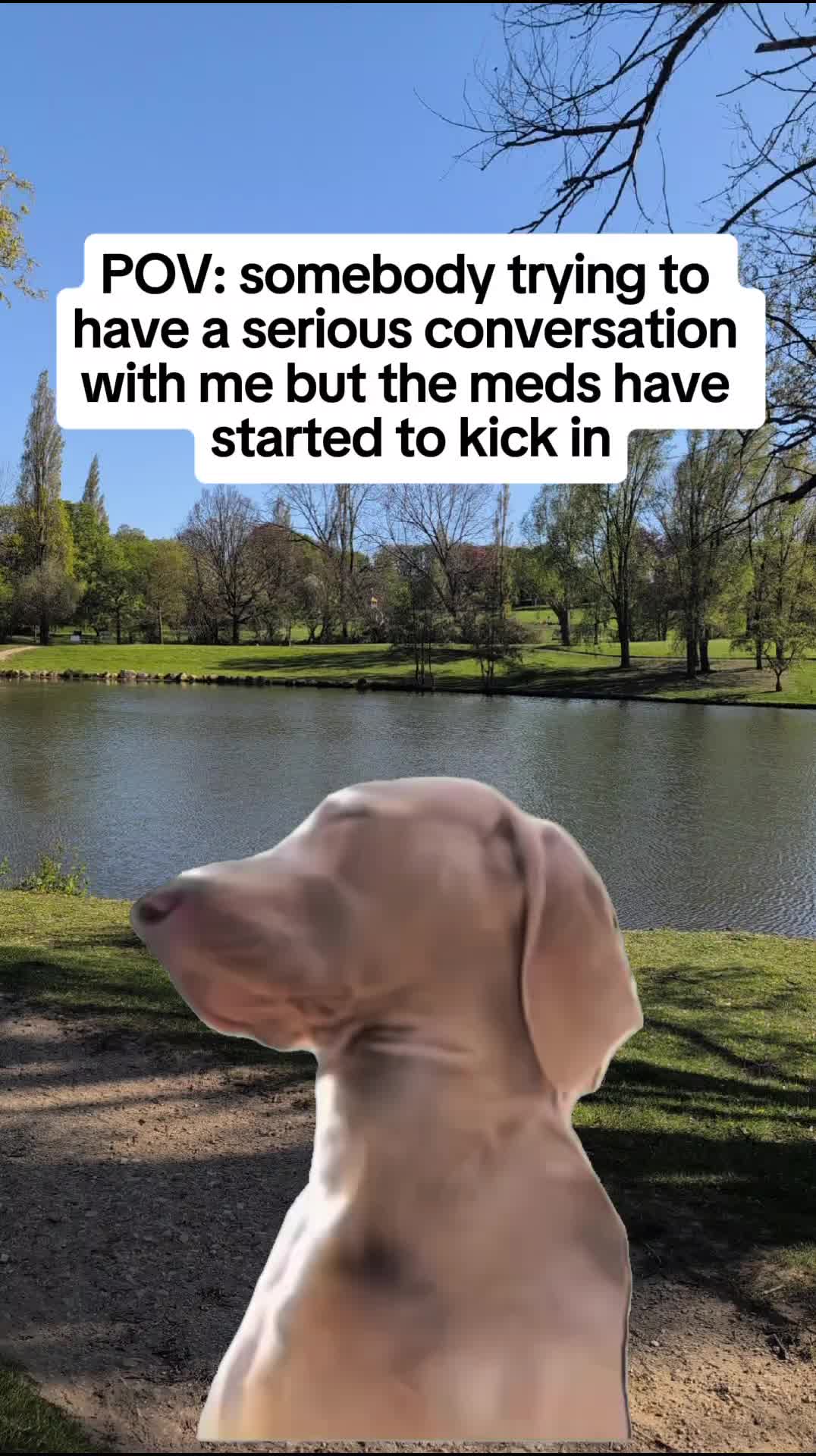 @⚠️𝑣𝑒𝑛𝑡𝑖𝑛𝑔⚠️....