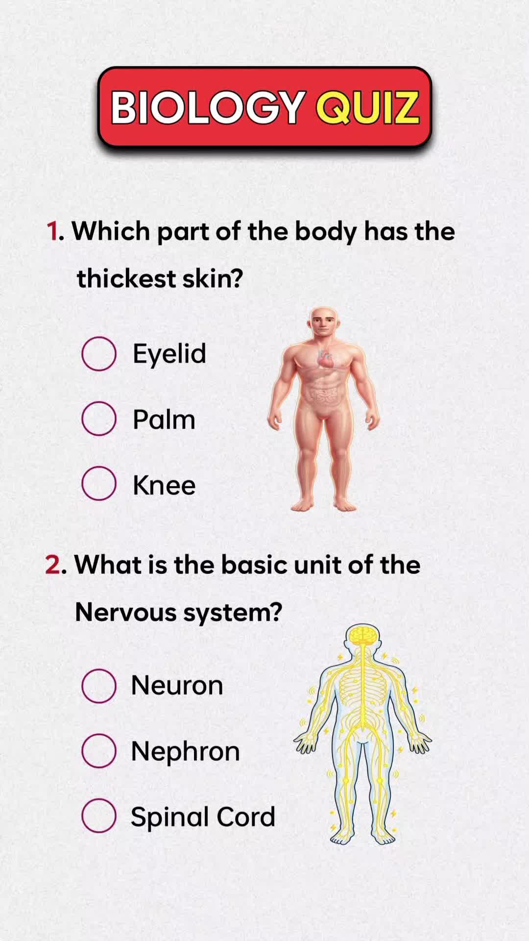 @QUIZ