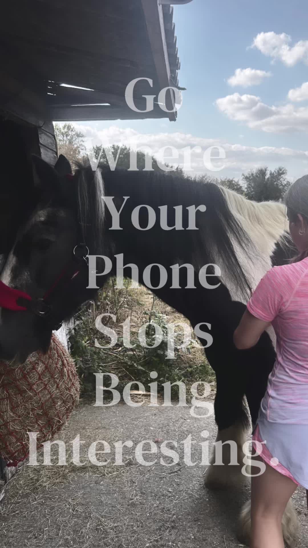@𝑺𝒀𝑫𝑵𝑬𝒀🩵