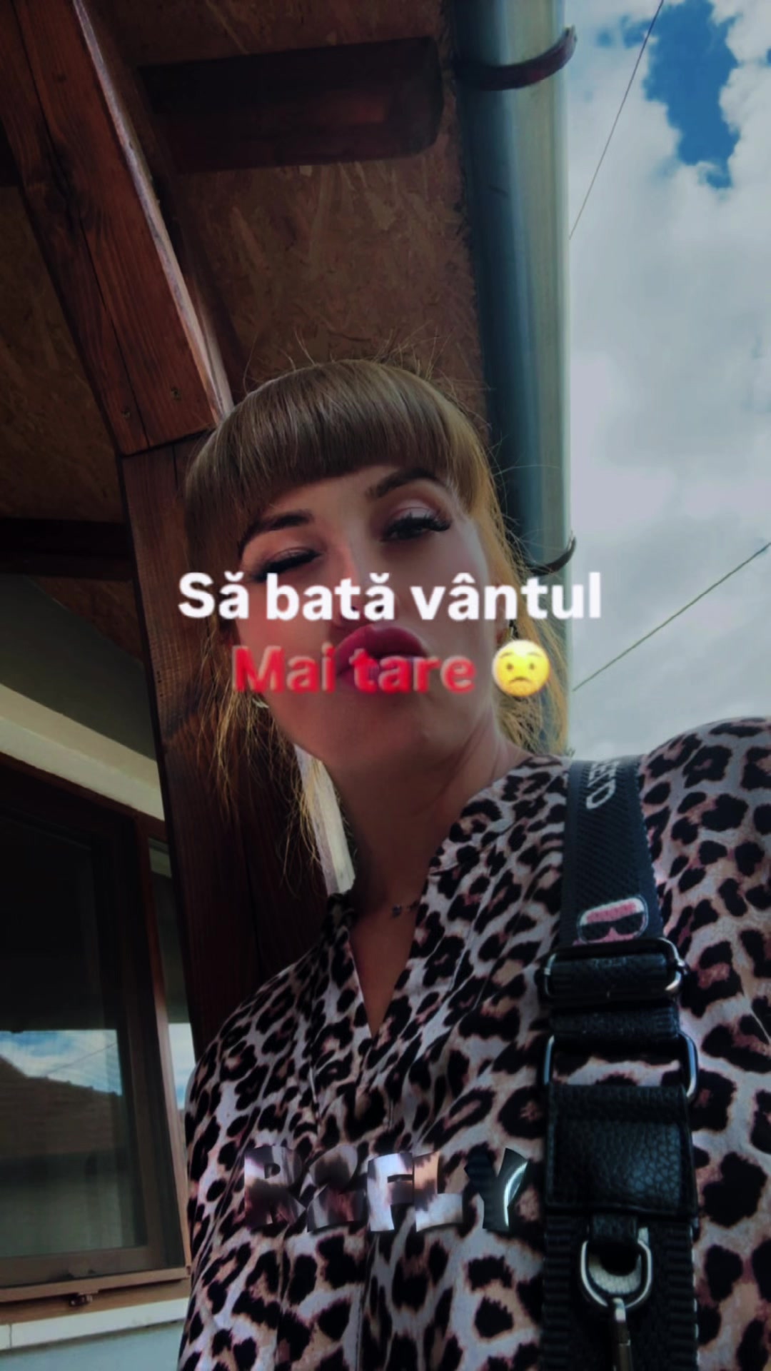 @Anda Oros
