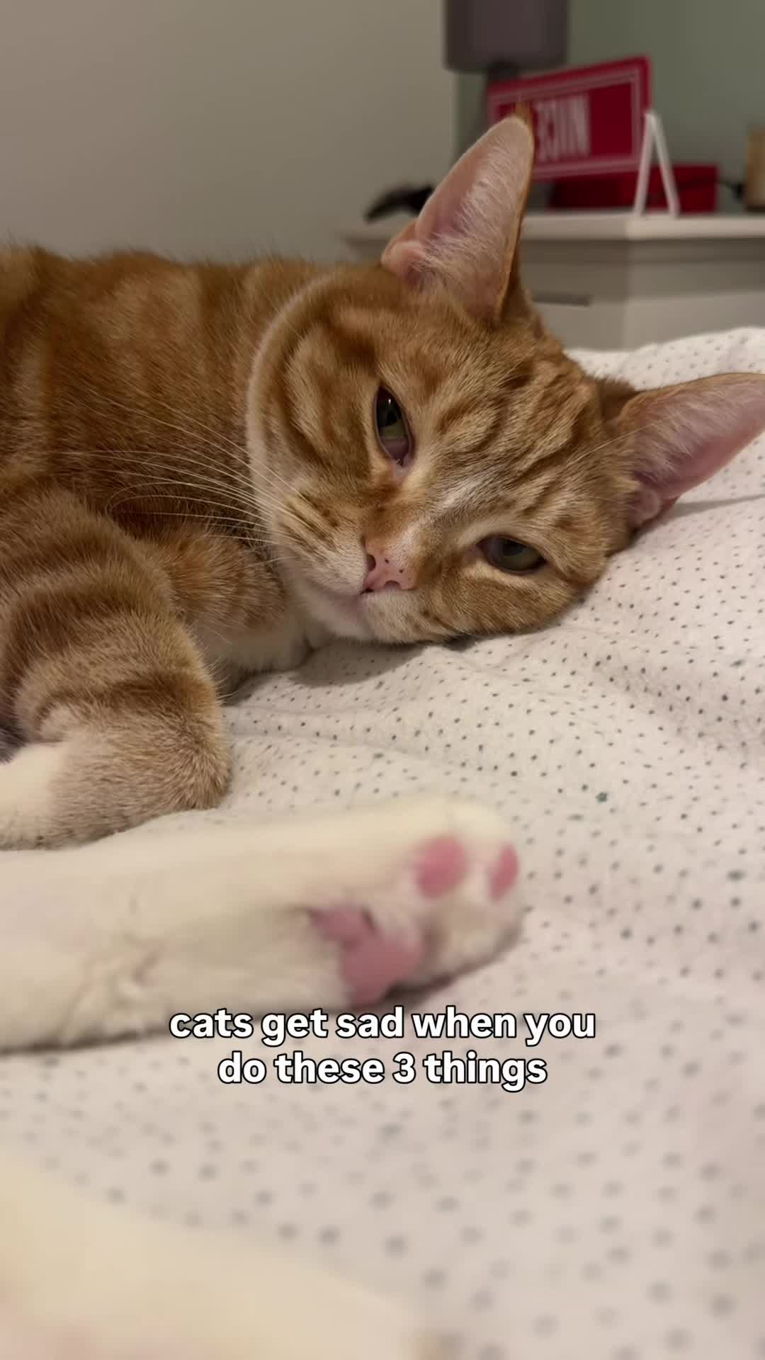 @lola_and_popps