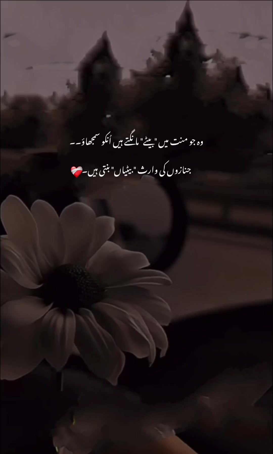 @𝐉𝐚𝐧𝐧𝐀𝐓🤍"