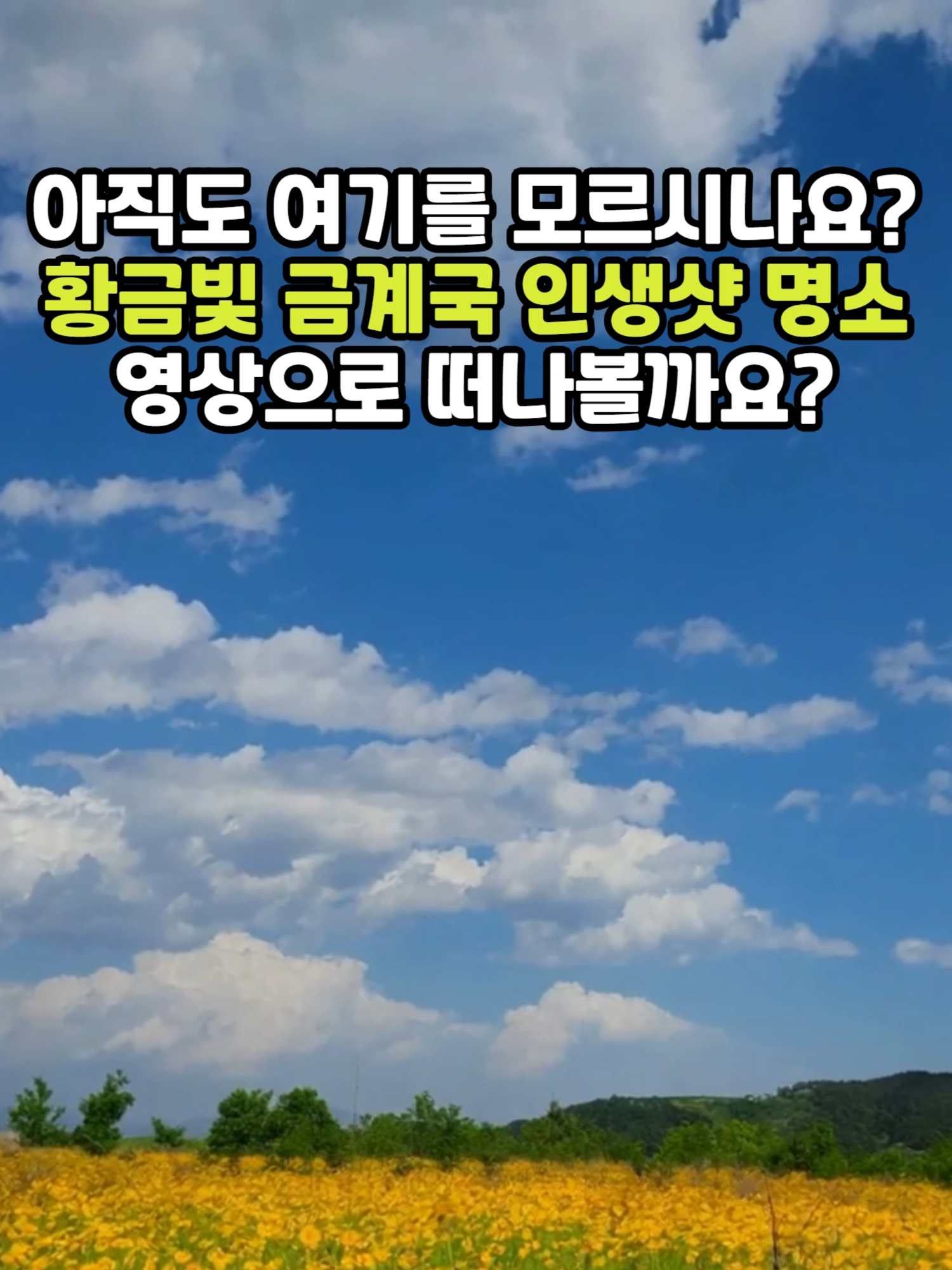 @꽃길