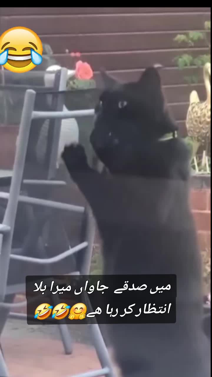 @Zubi🙋♀️زوبی