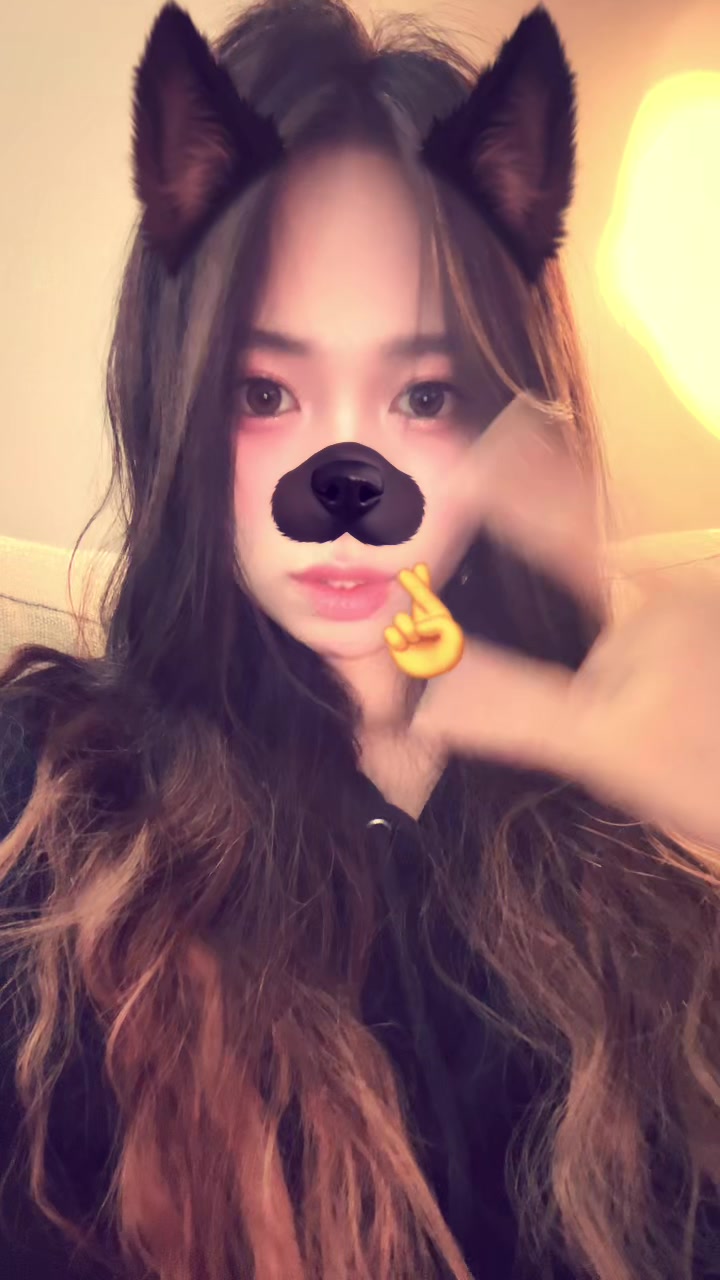 @Dynasty
