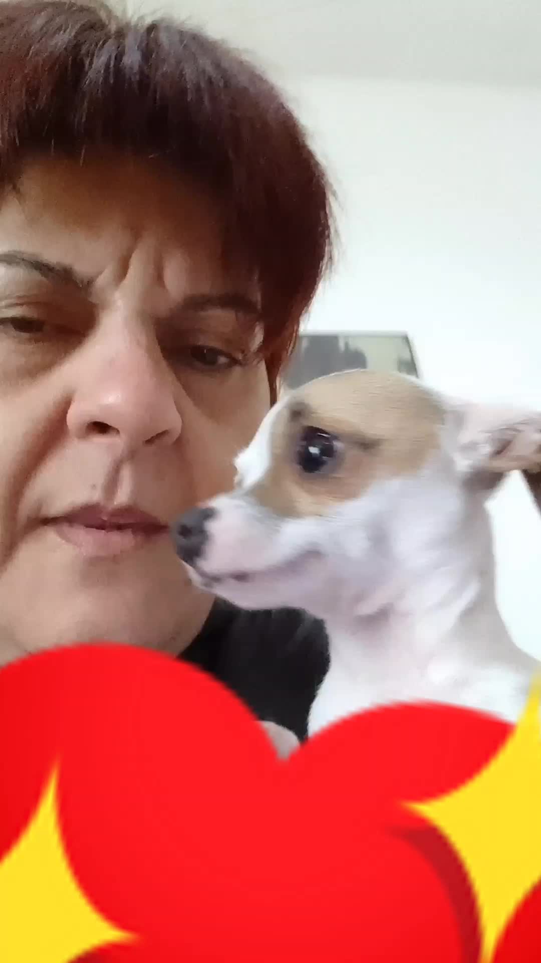 @Lucia Guadagno