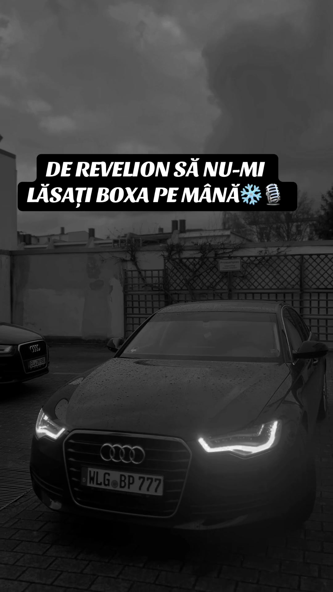@pinzariuu🎲