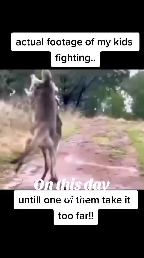 @Dannii๐๐ค๐