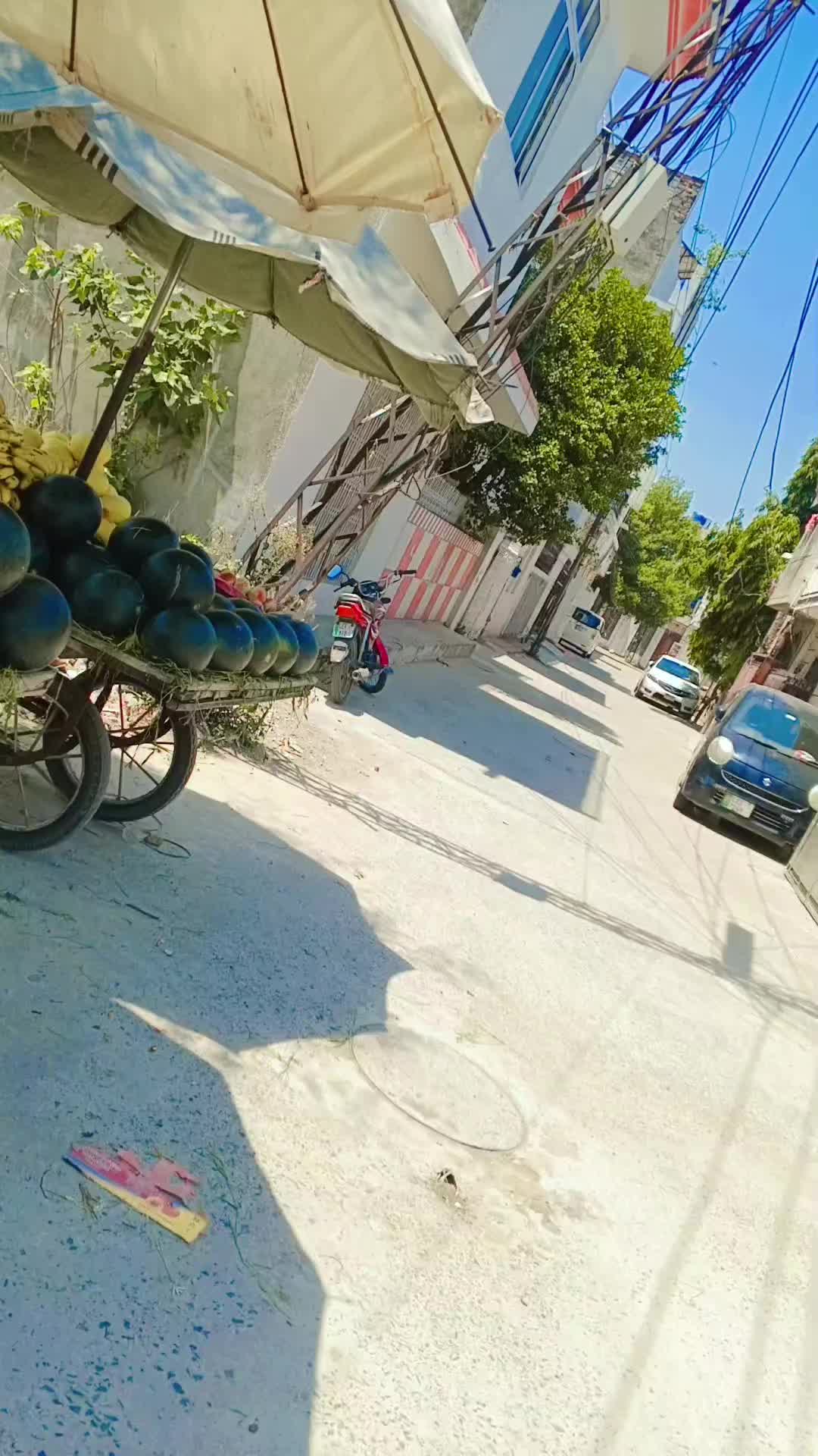@Fruit Wala 🍎