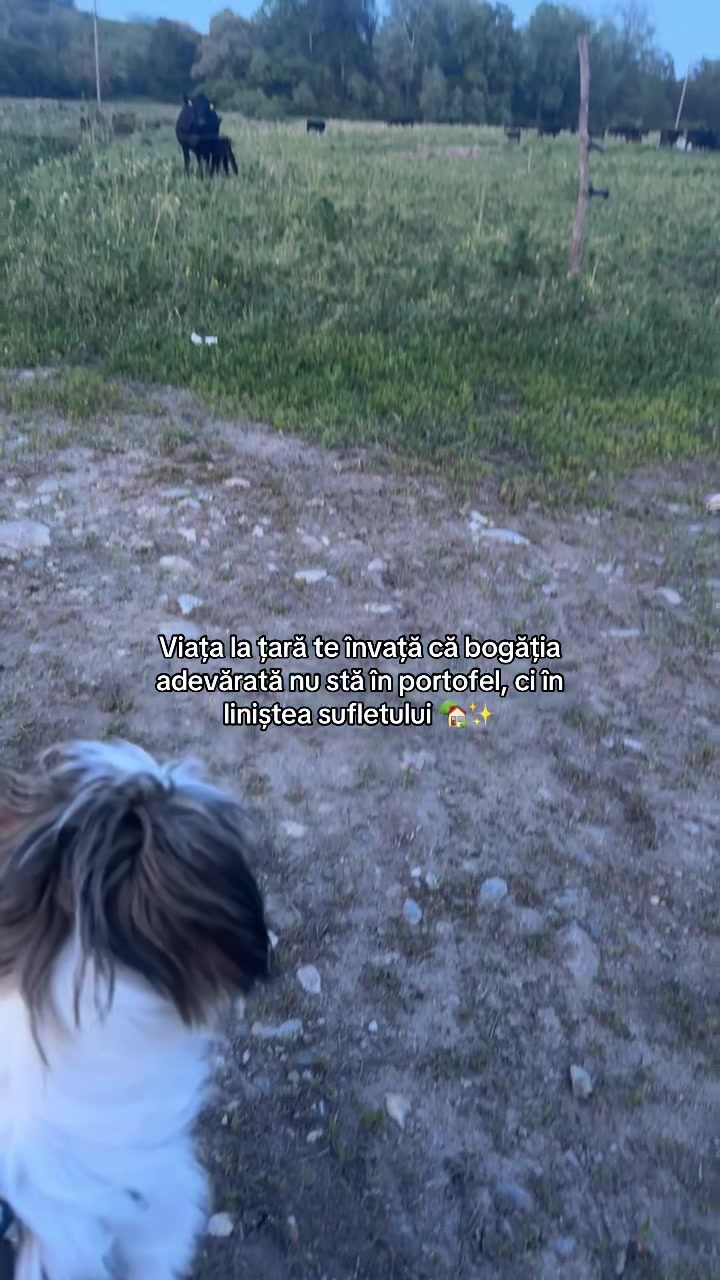 @sandra🦦