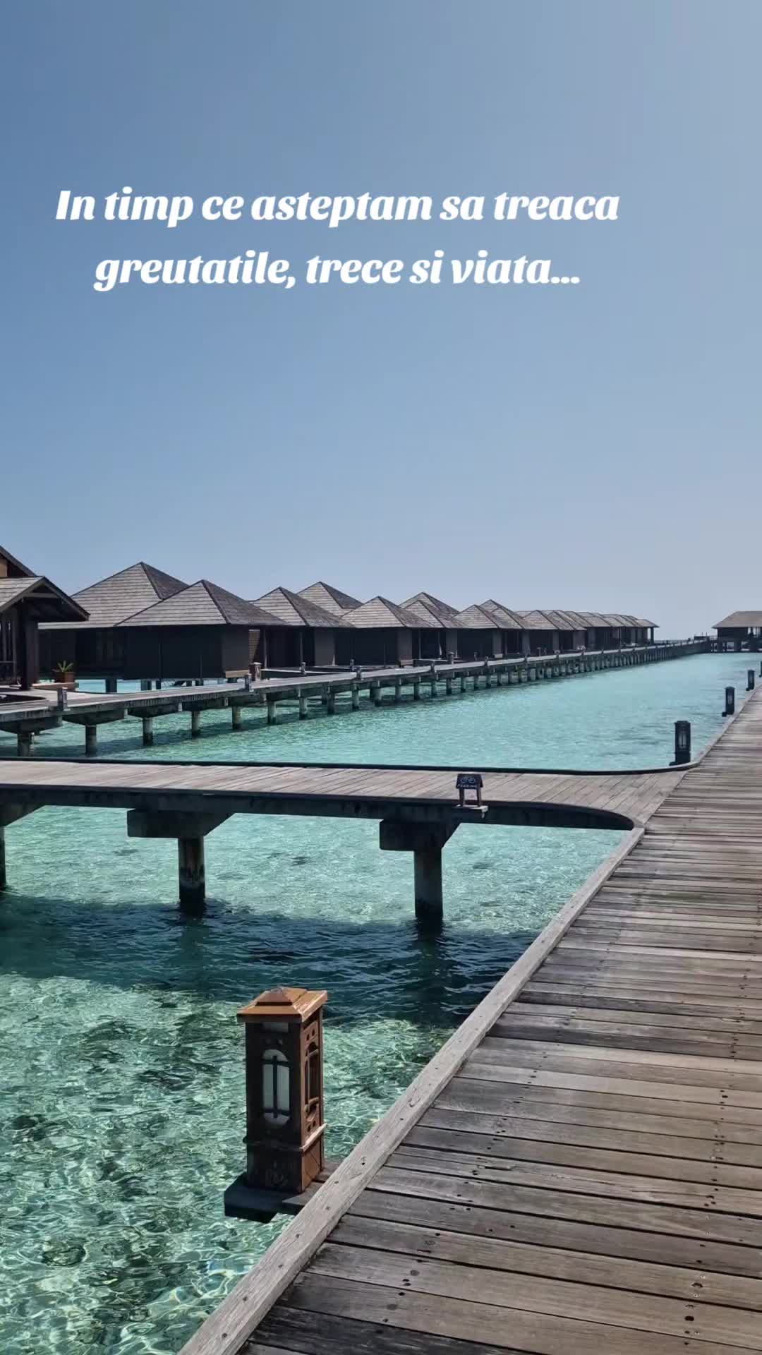 @Monica Travel Story