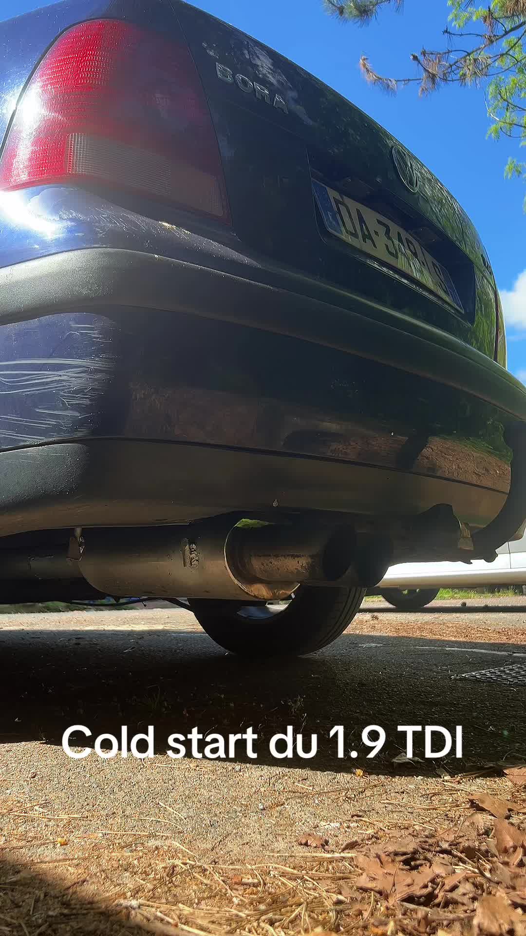 @project_tdi