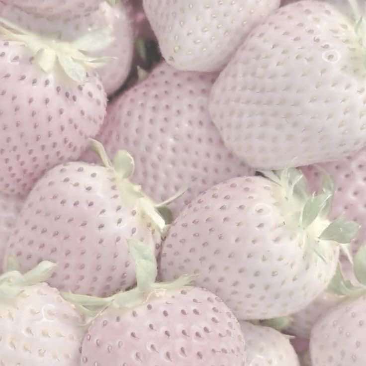@𝜗ৎ 🍓Nιᥴ᥆ᥣᥣᥲ᥉ Vᥲᥣᥣᥱᥒtιᥒ