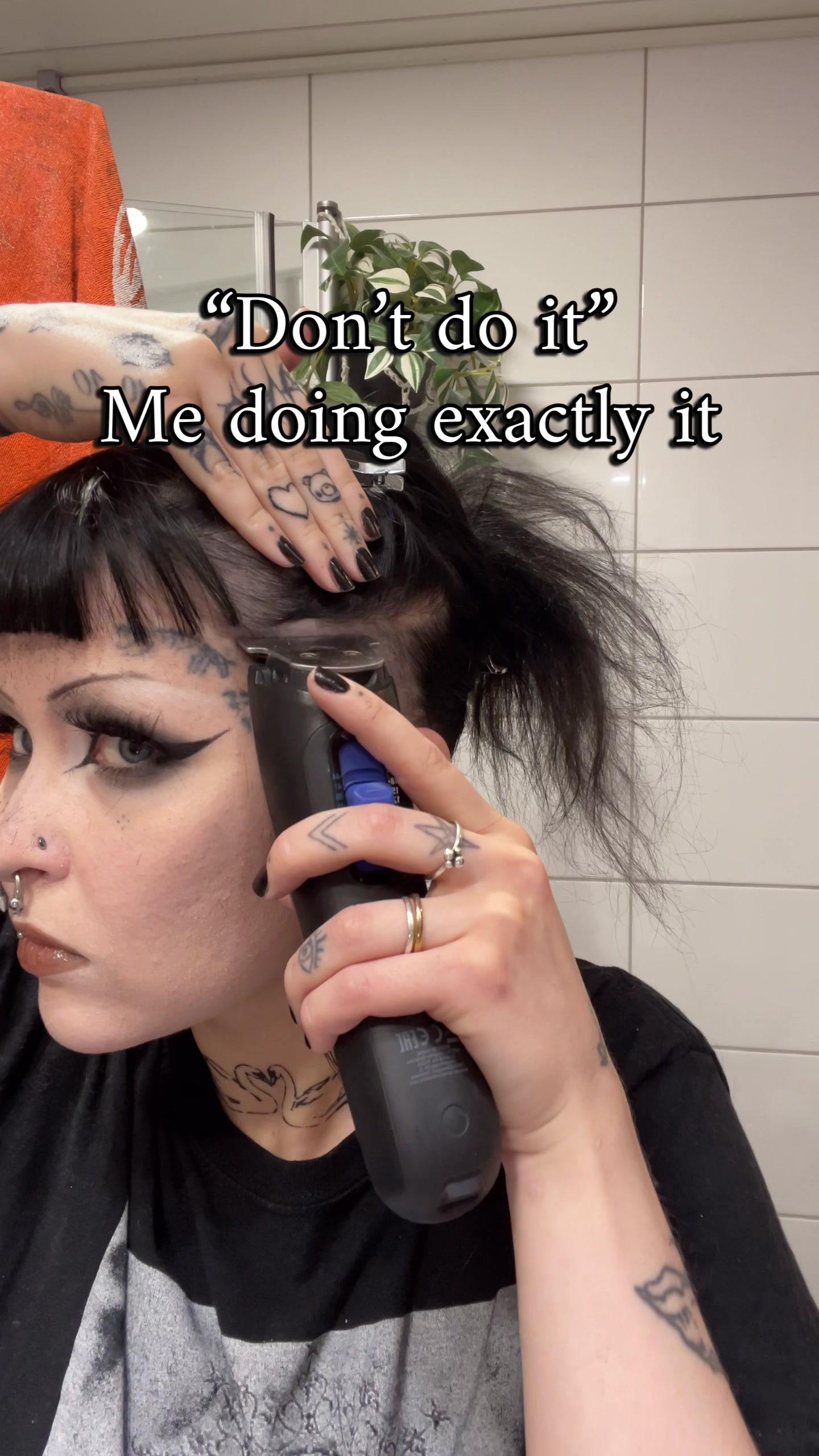 @bambirric