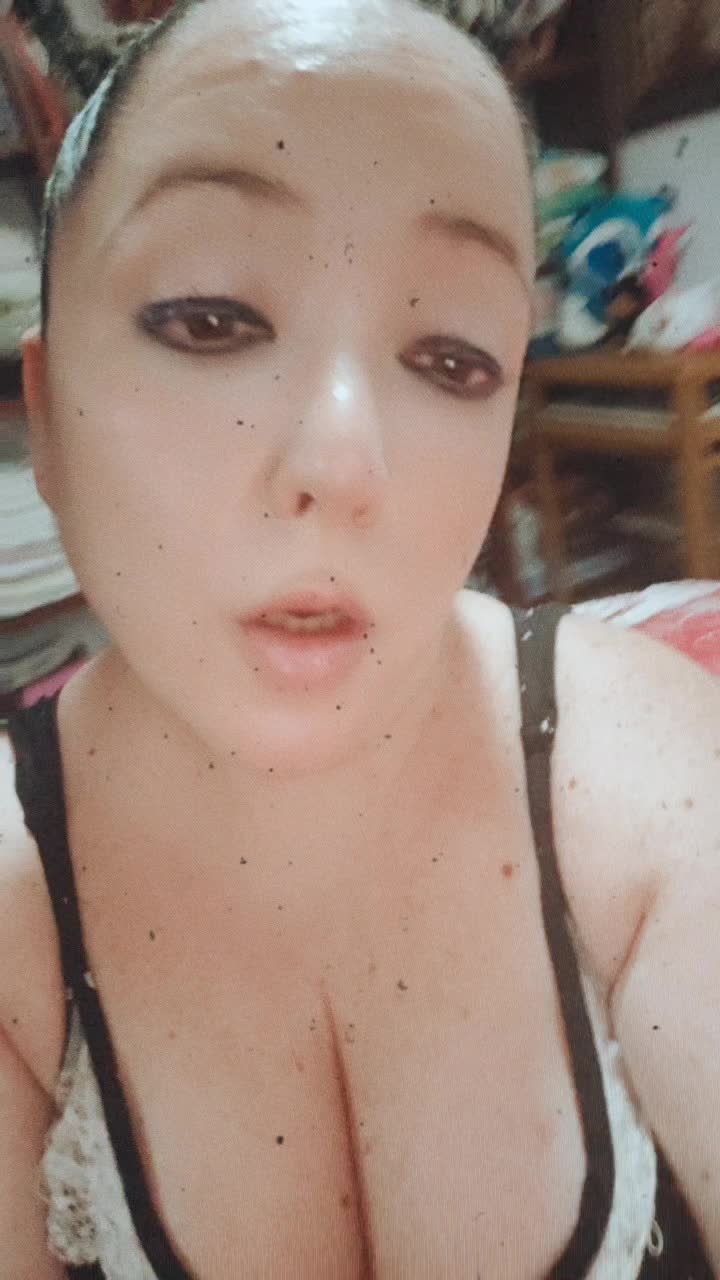 @KOALITA🐨🦂🦄🧸