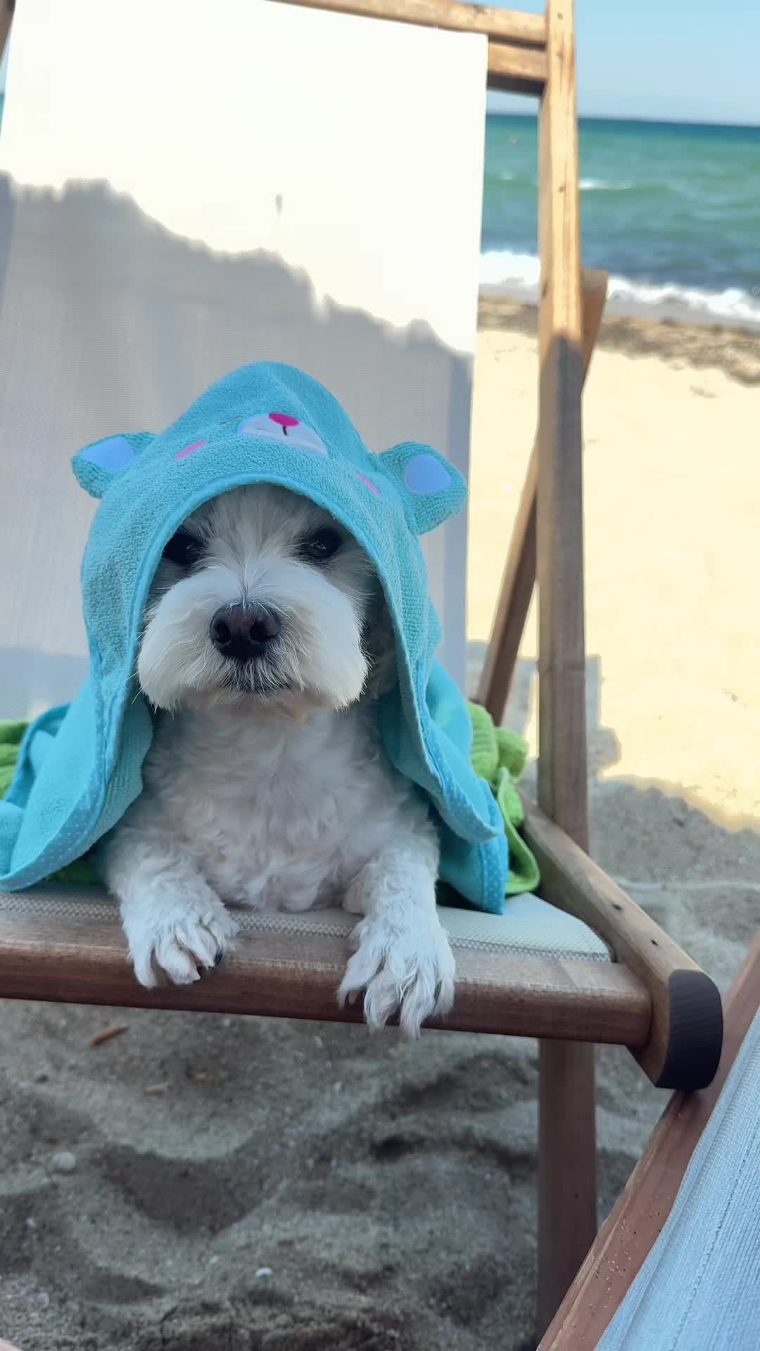 @Stella 🐾 Luki