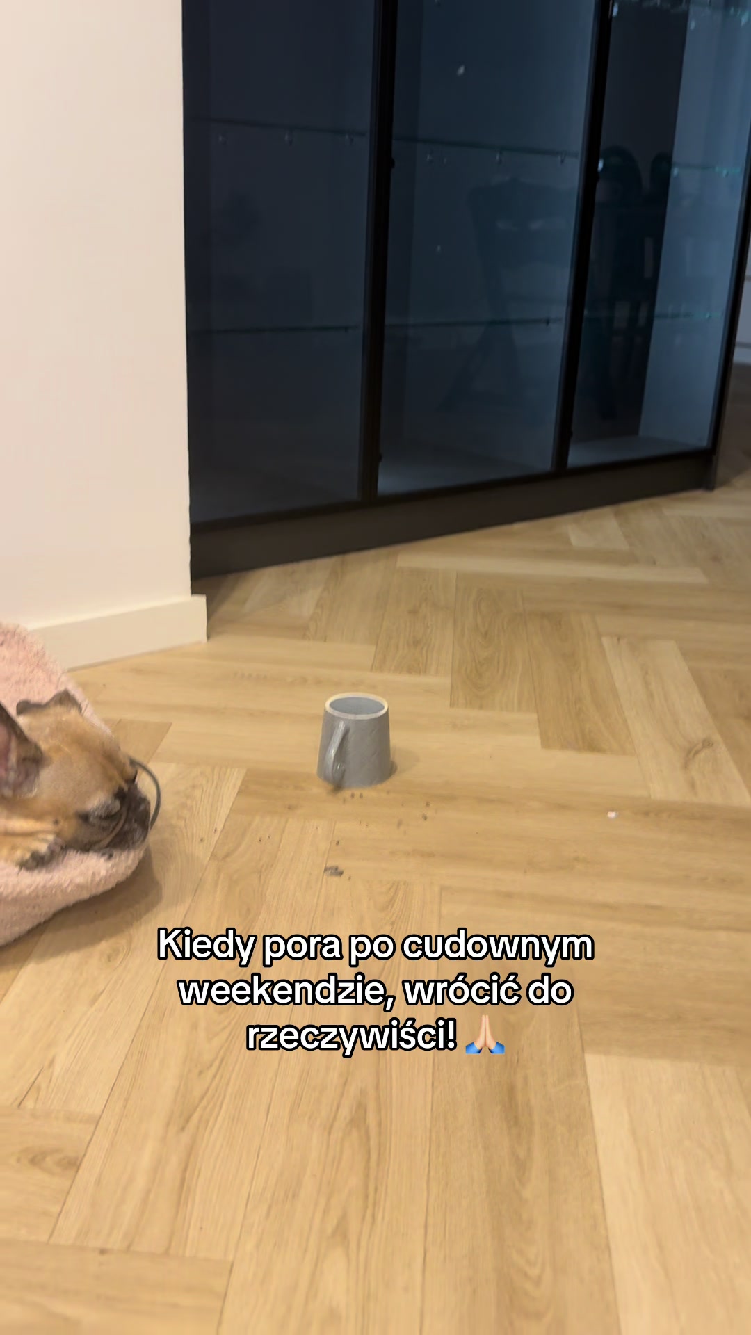 @Laura Elliem