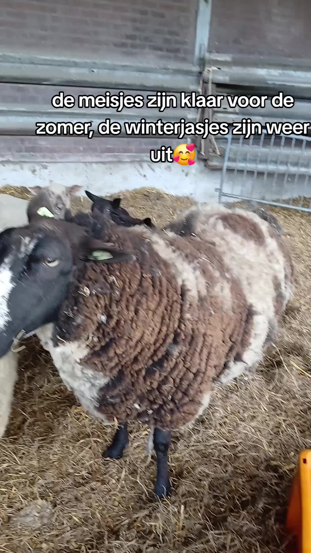 @Sjo's farmvideos