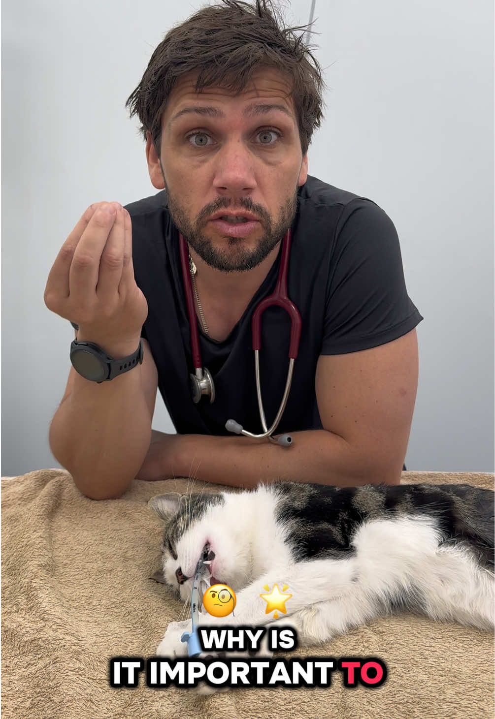 @Tomasthevet