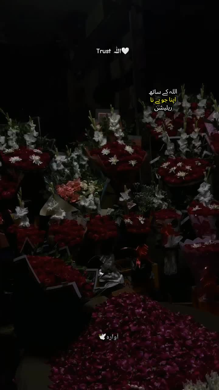 @آوارہ🕊️