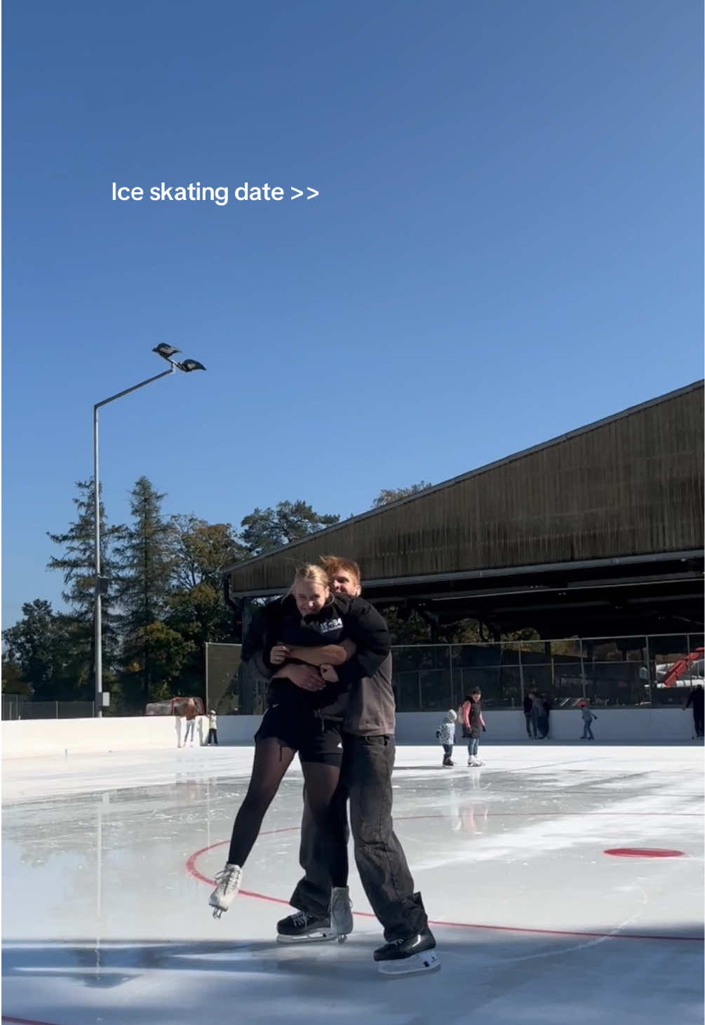 @icehermine