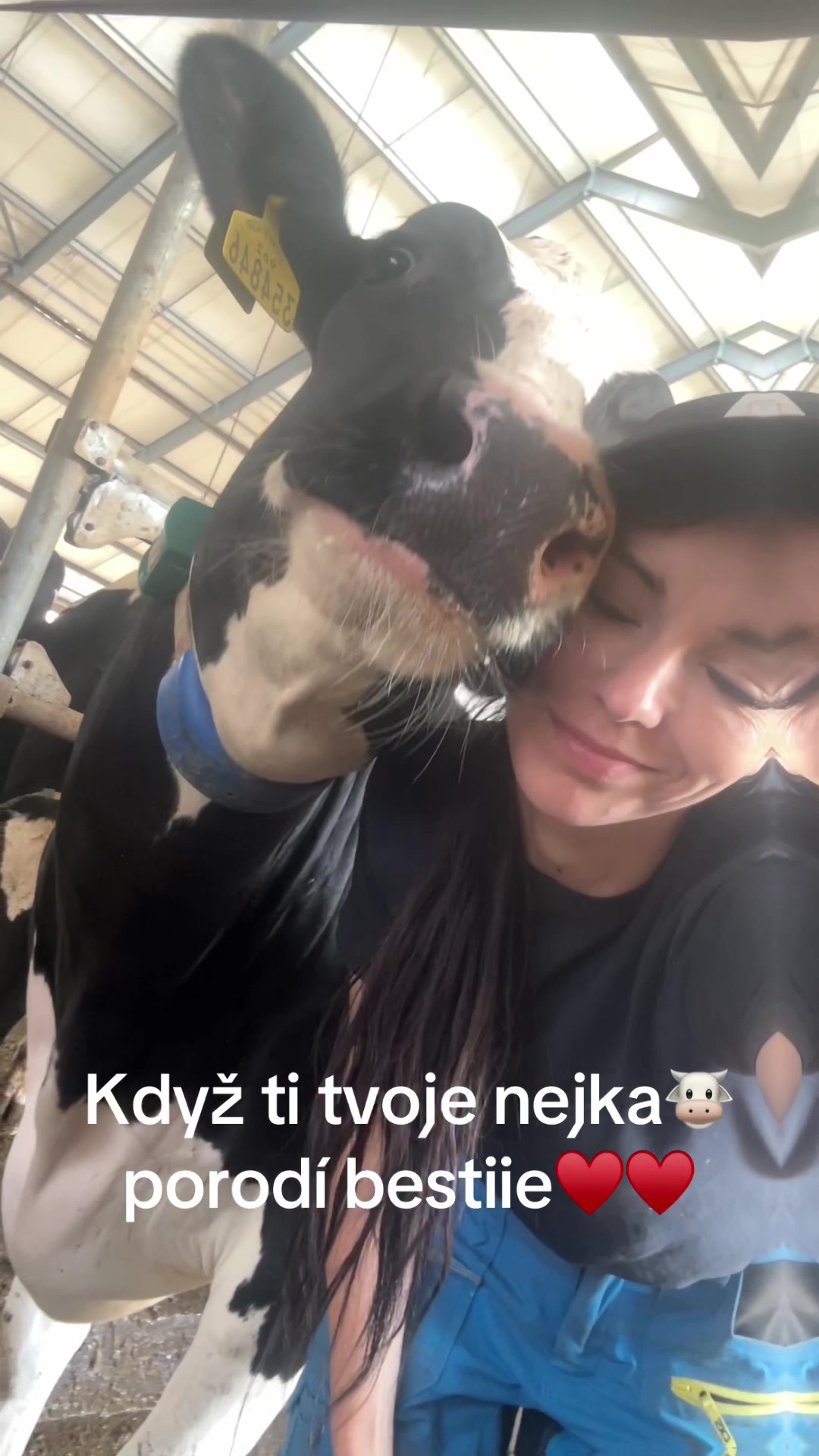 @Dess_Tiny7