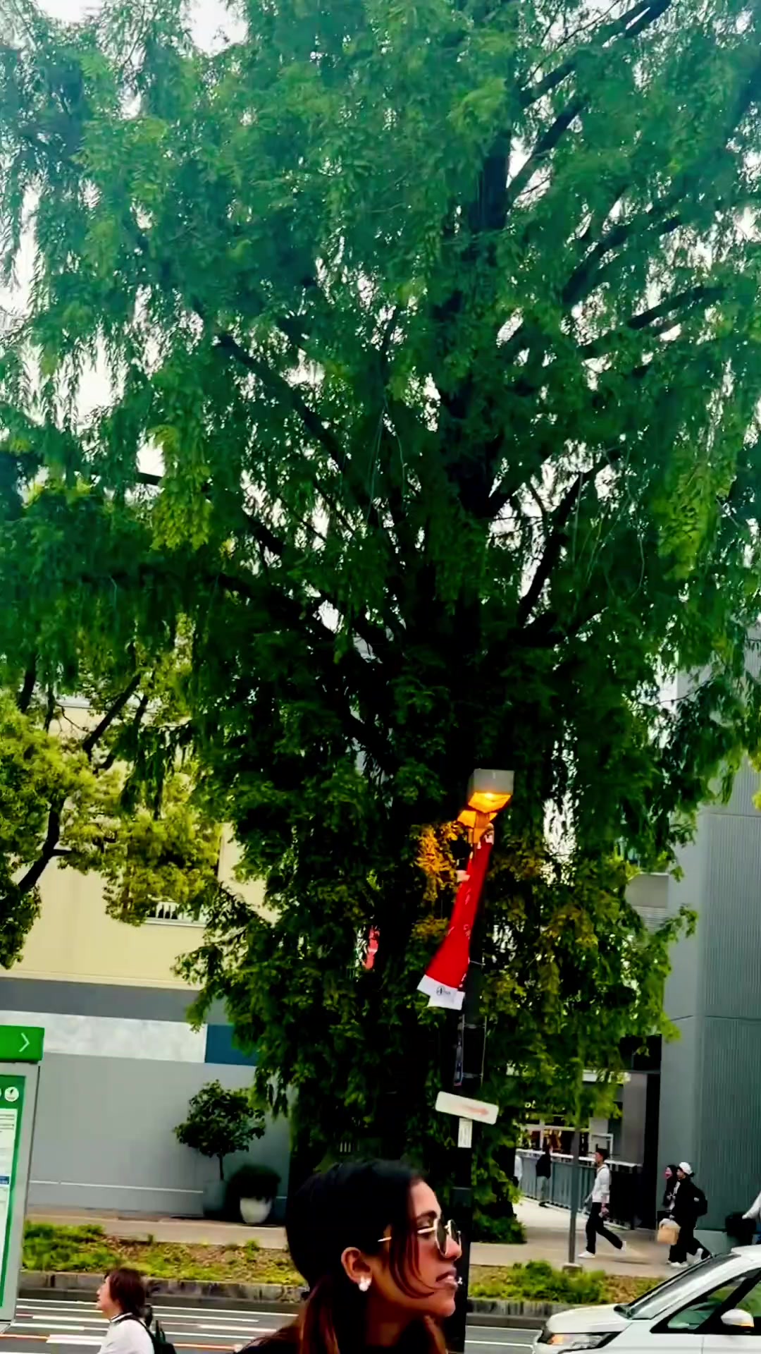 @🦚 सिर्जु अधिकारी 🕉️
