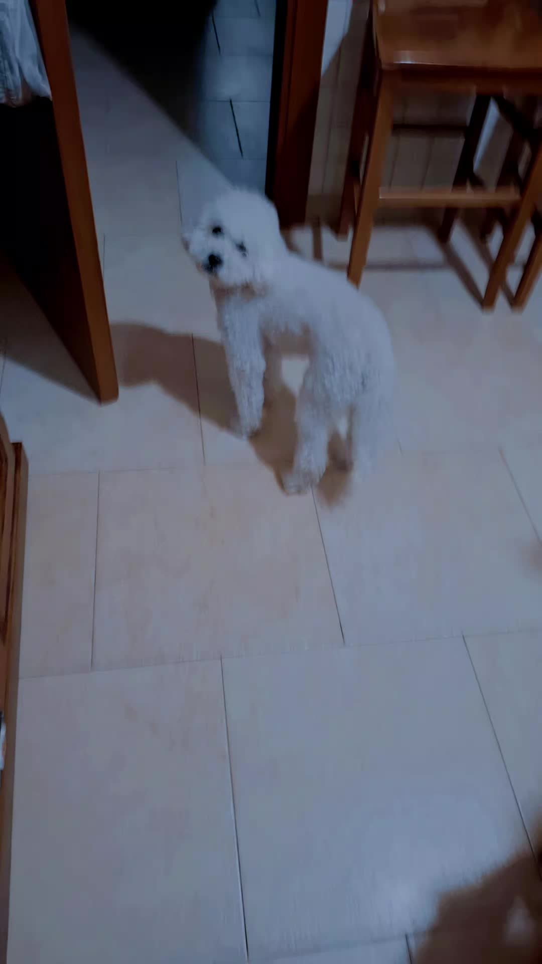 @gessicavallelonga4