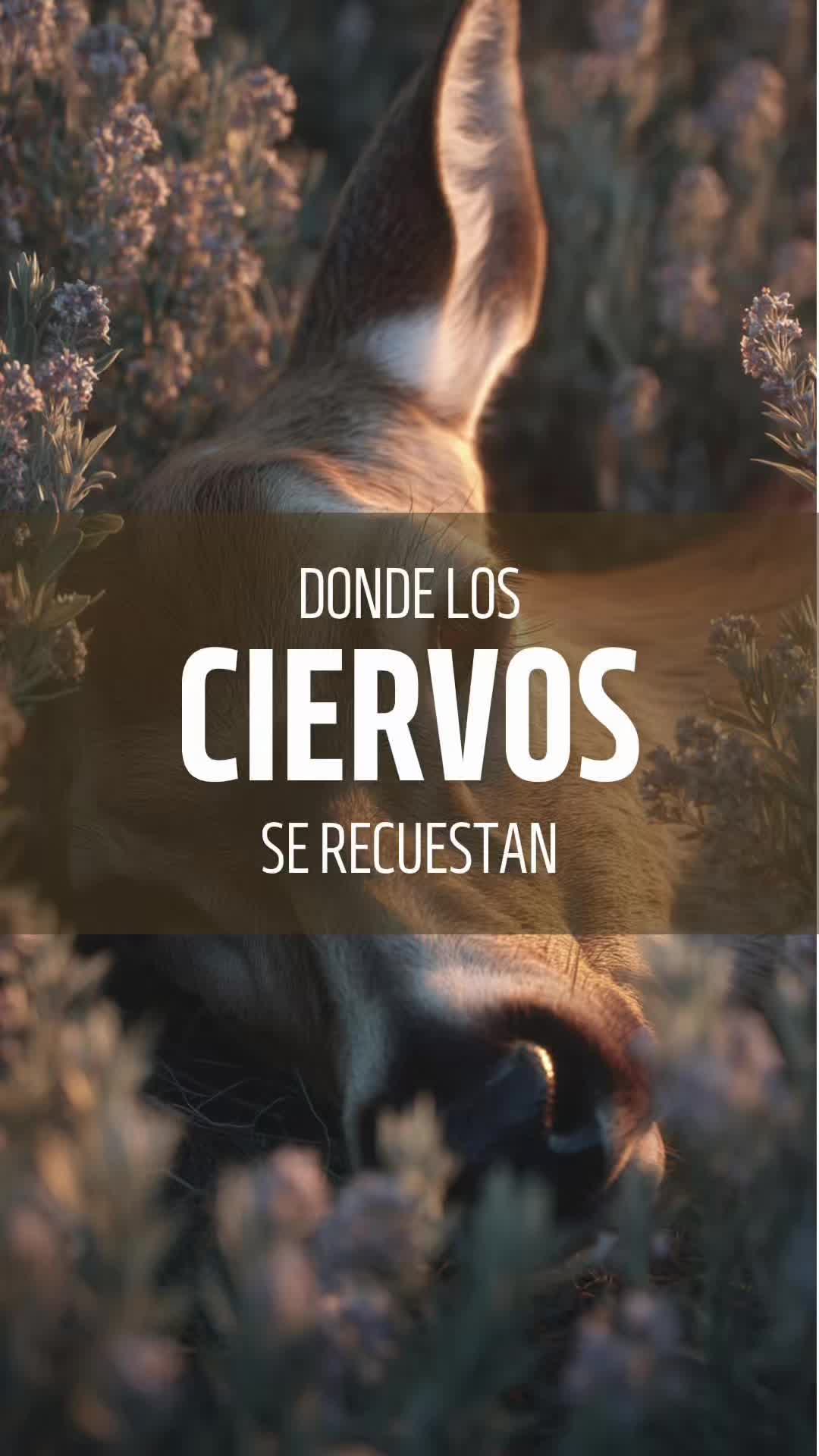 @TodoEspecias