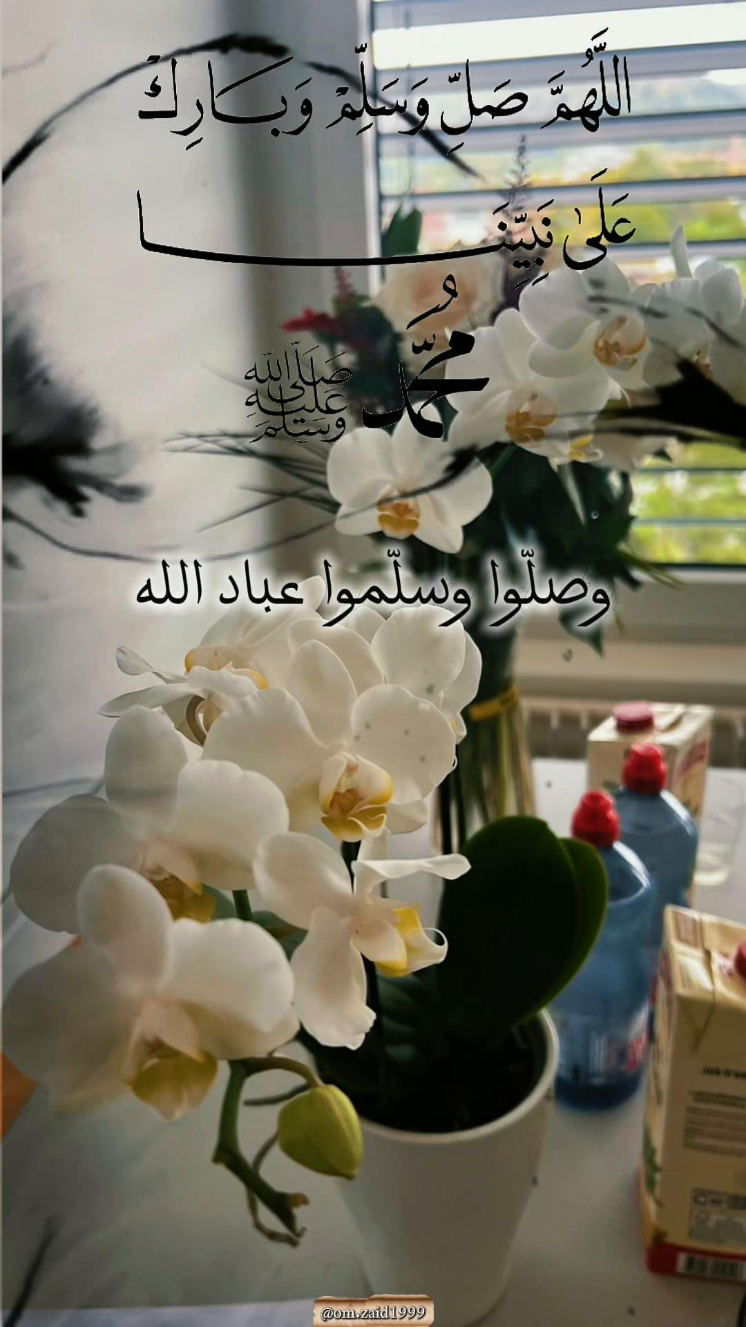 @Nahed Razouk