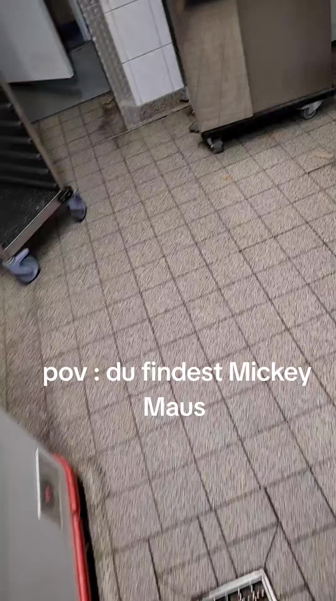 @𝓓𝓪𝓷𝓪