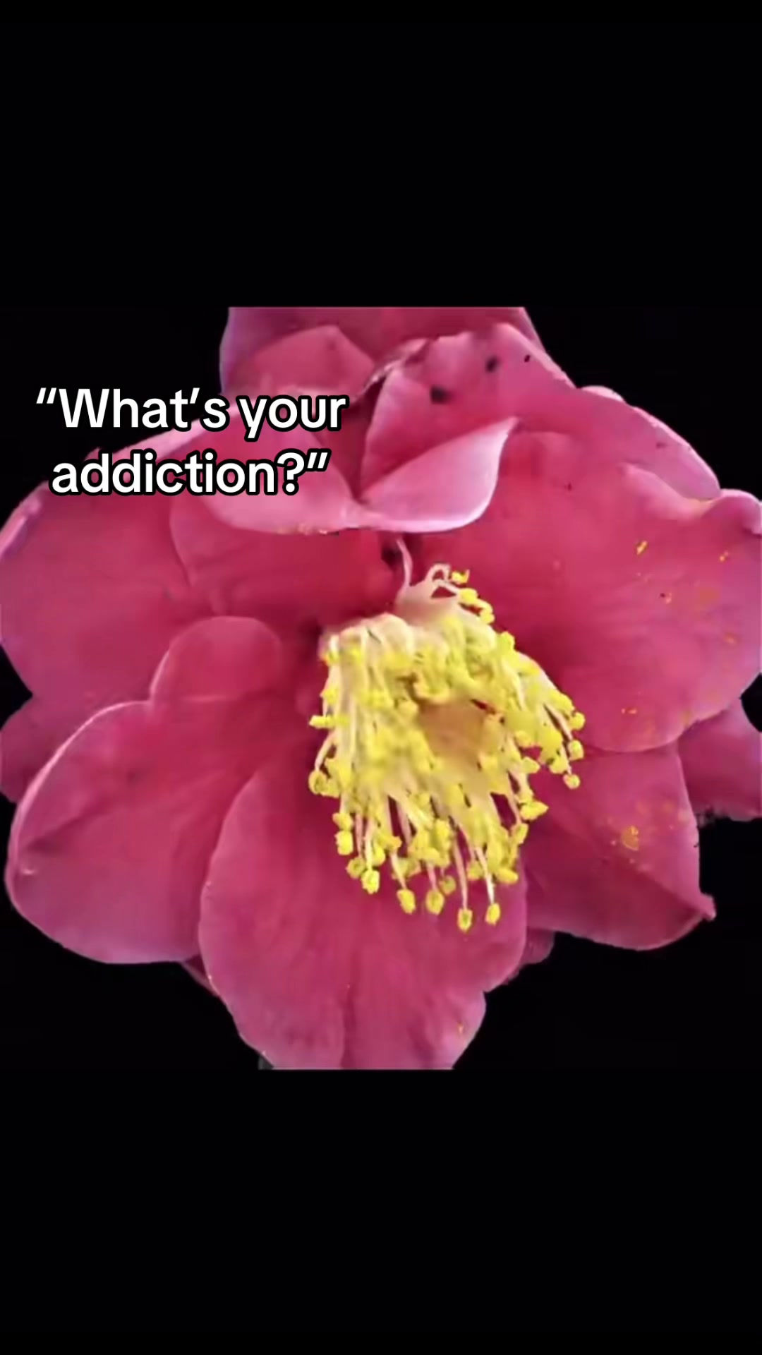 @RoleModel